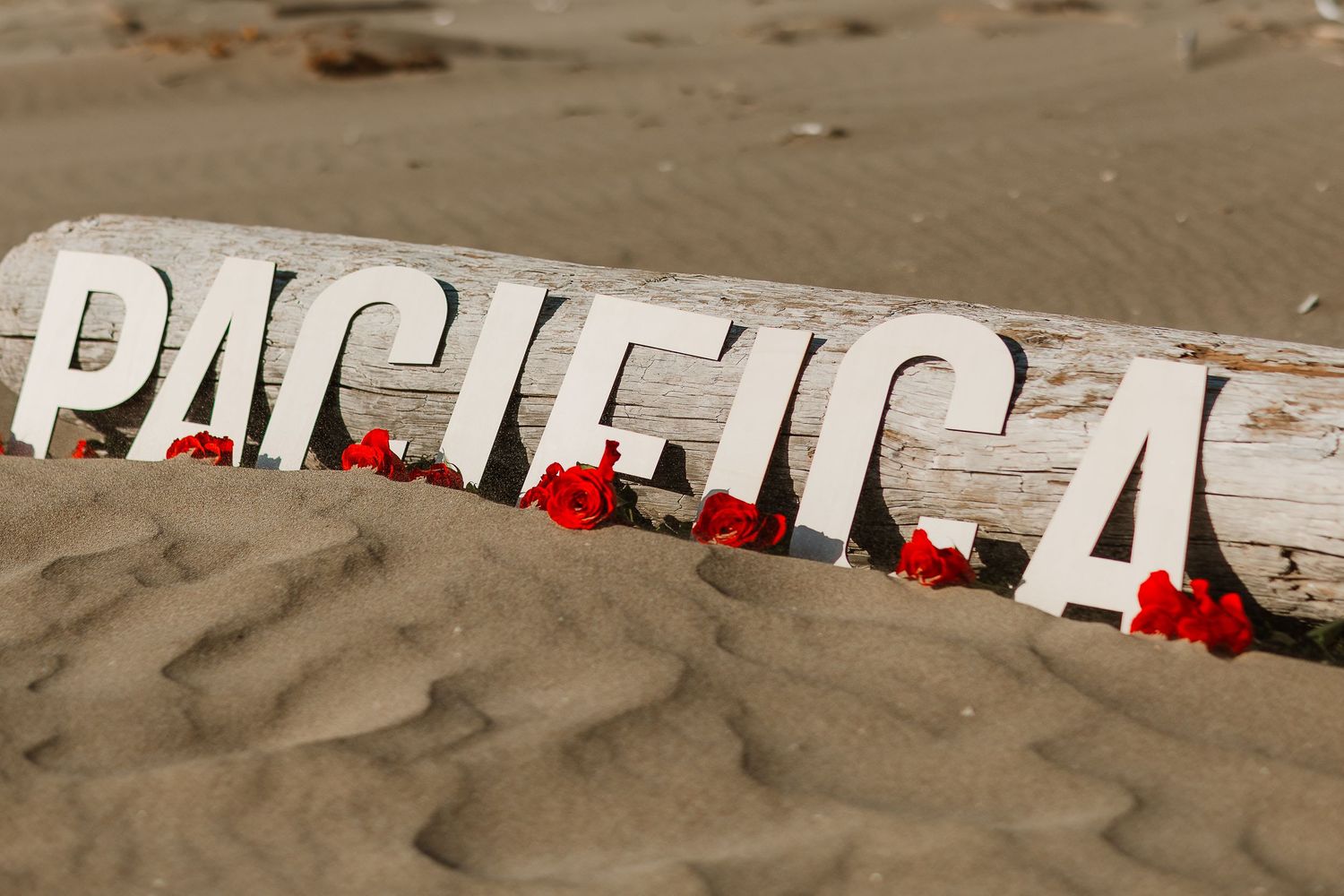 Large letters spelling 'Pacifica' laid in sand with red roses.