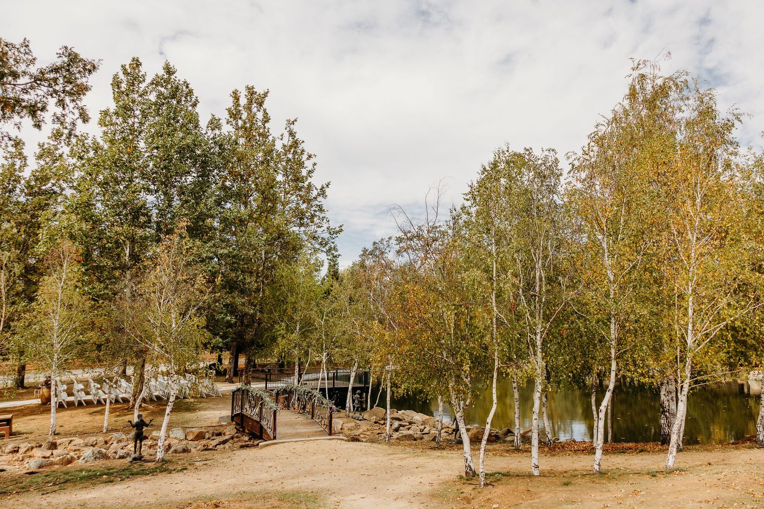 Scenic autumn landscape with golden trees and natural outdoor setting.
