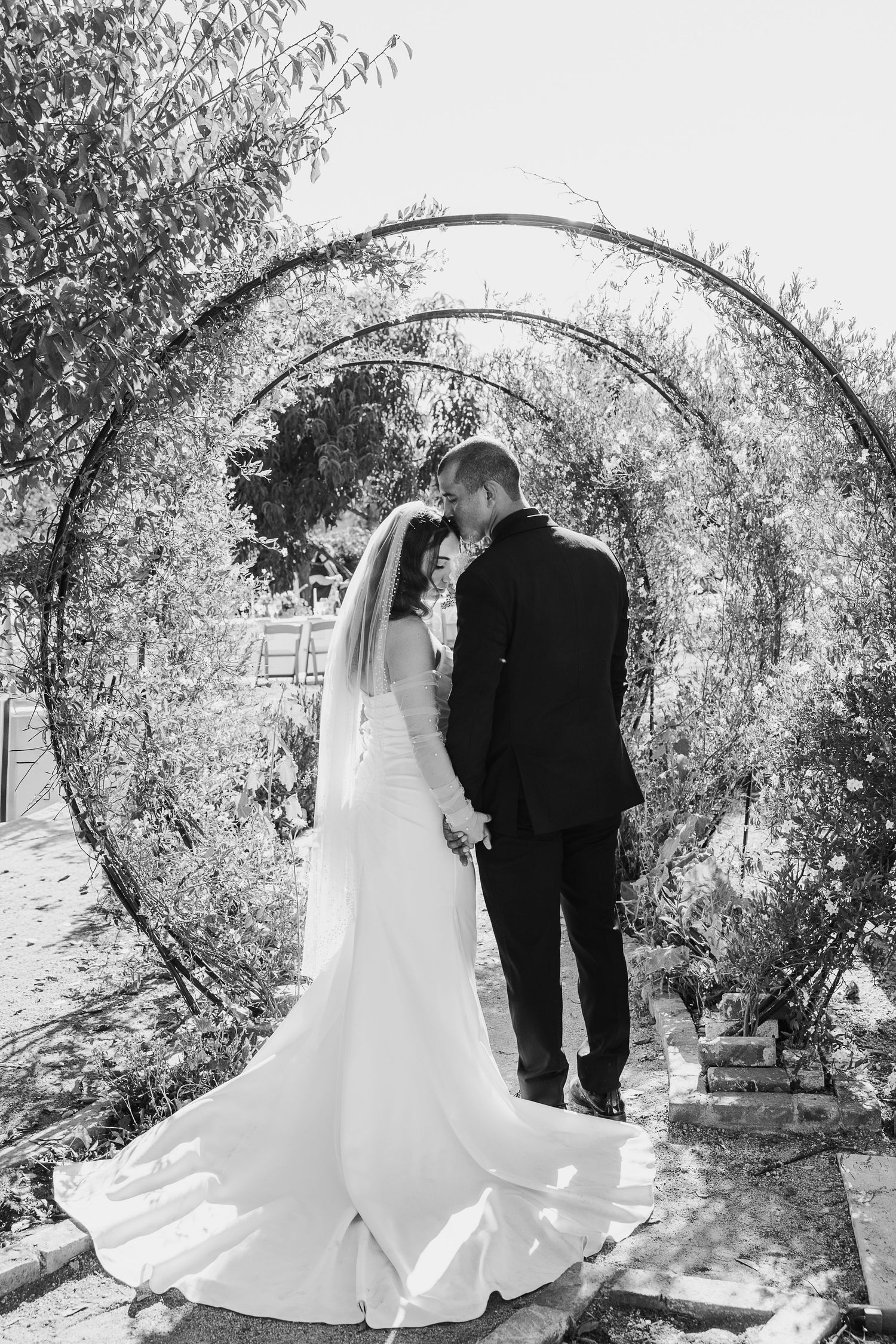 A romantic wedding photo series under a natural archway of willow trees.