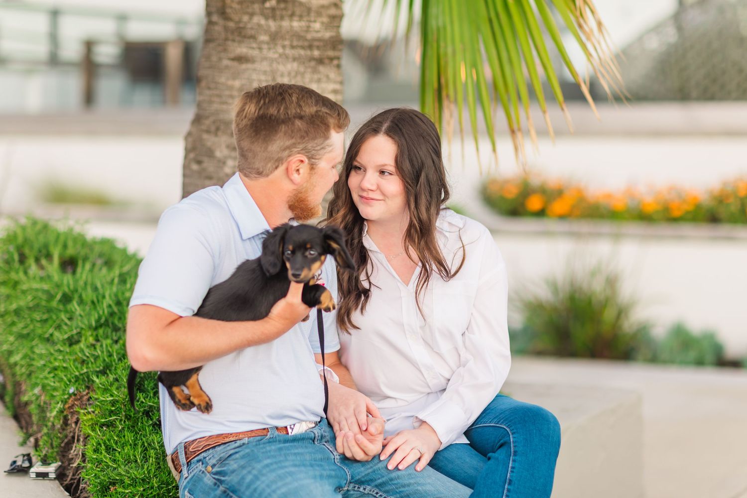 A couple shares joyful moment with their black puppy on outdoor patio with palm trees.
