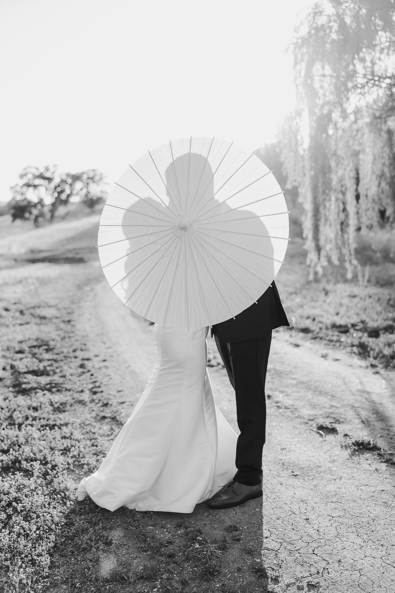 Series of artistic black and white wedding photos featuring umbrella props on a nature path.