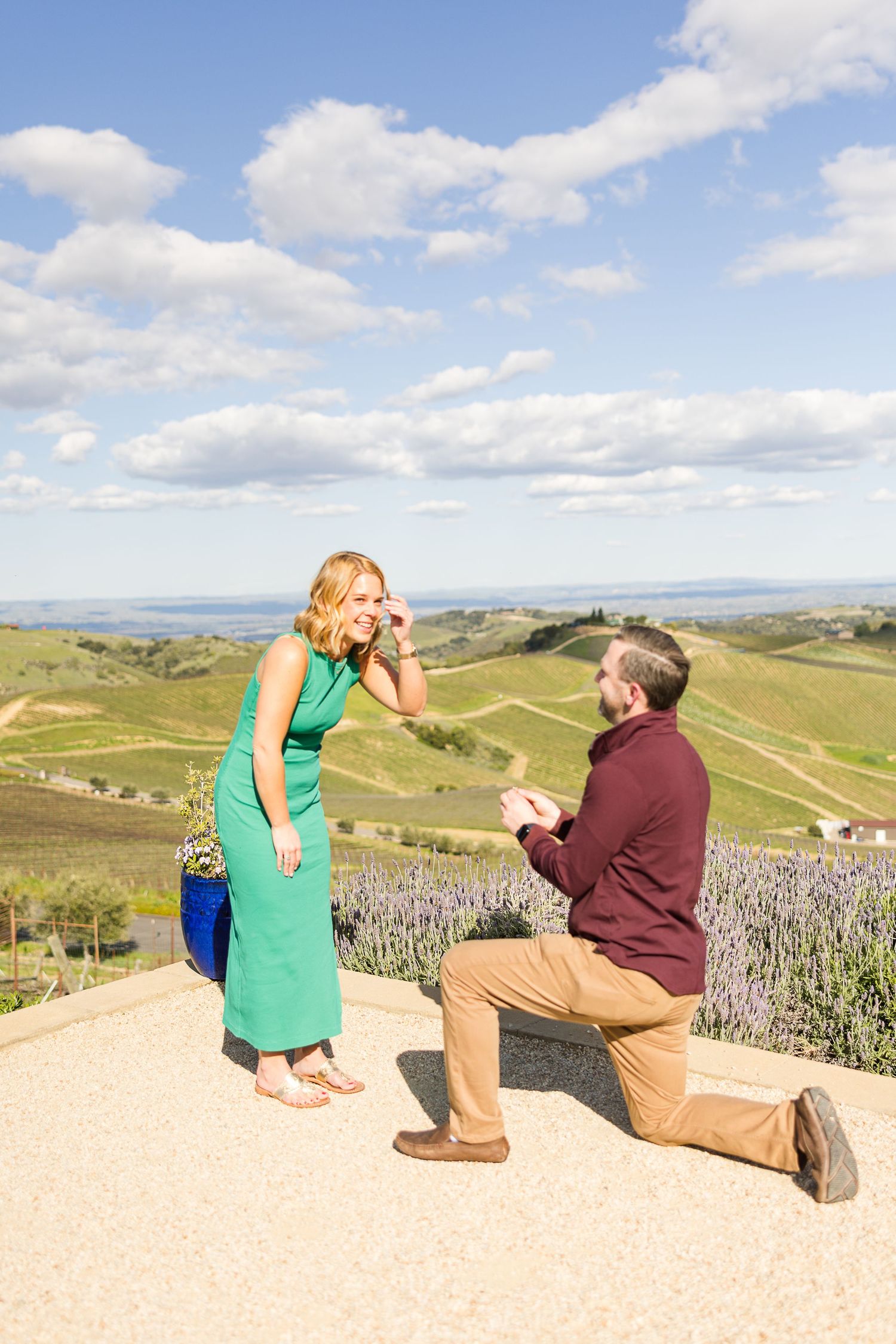 A proposal moment captured on a scenic hilltop with rolling vineyards and blue skies in the background.
