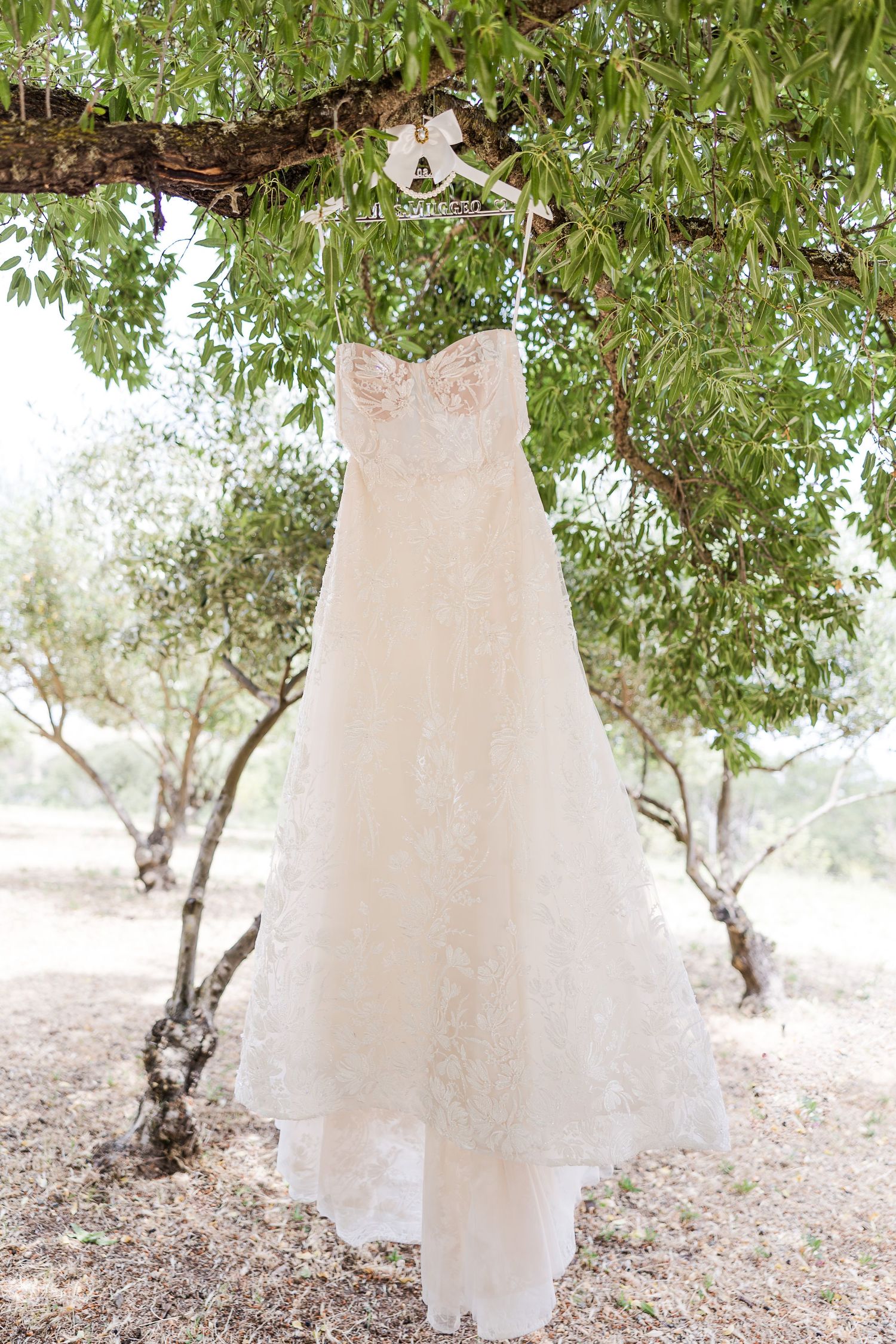 A white lace wedding dress hangs from a tree branch outdoors against a natural backdrop.