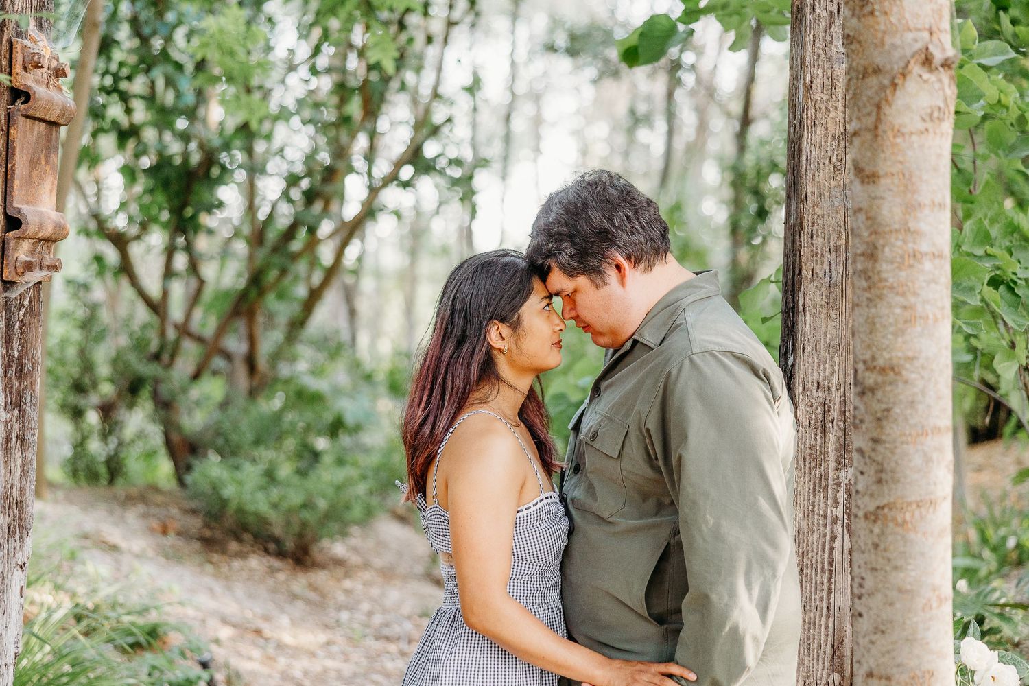 A romantic couple embraces among tall forest trees during an outdoor photography session.