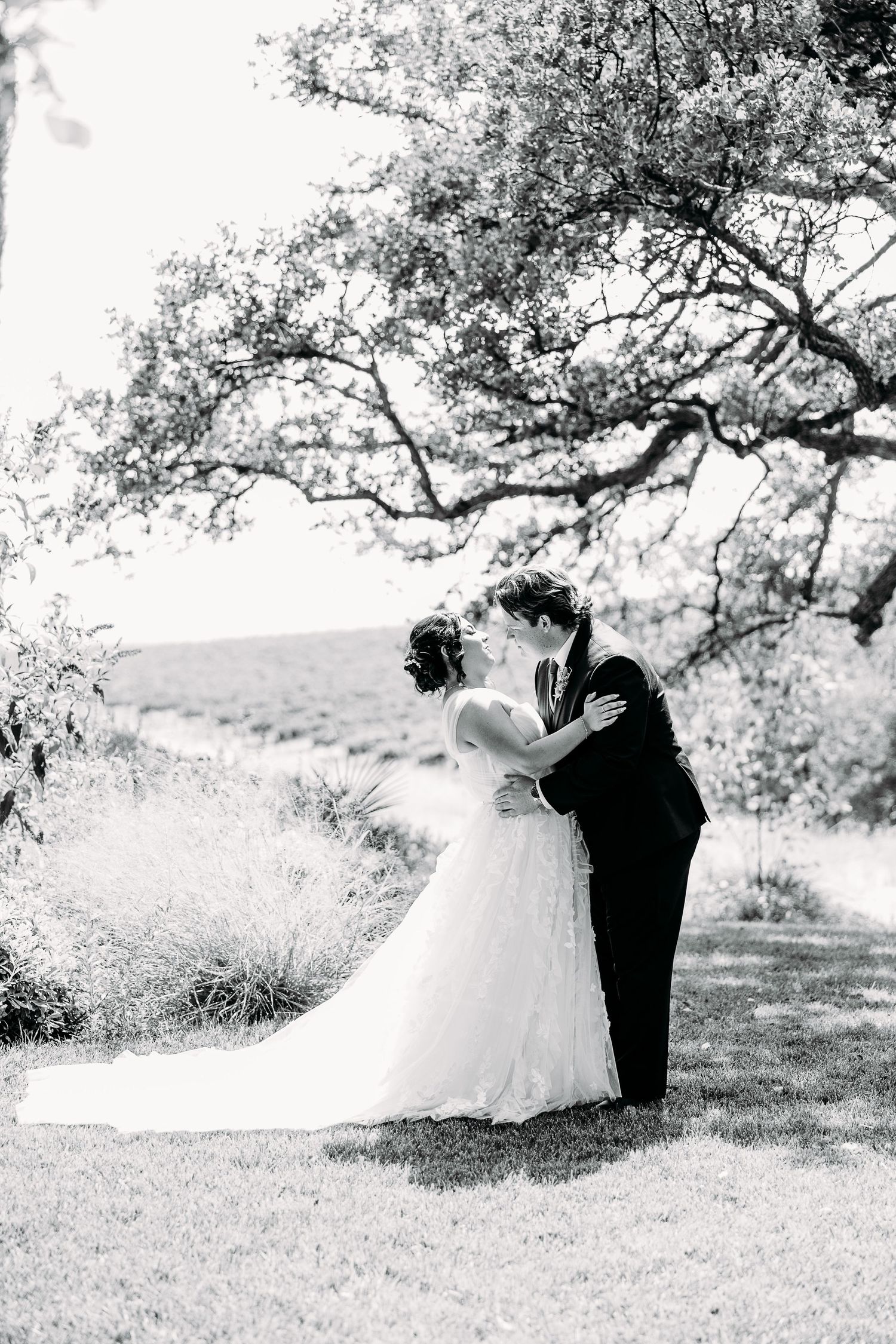 A black and white photo shows a couple's intimate moment beneath sprawling tree branches.