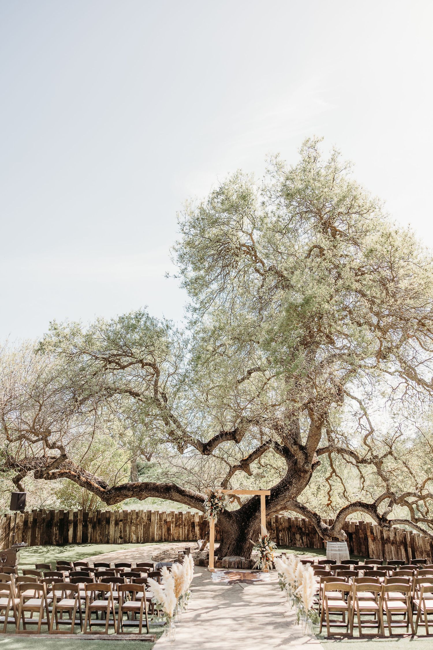 Rustic outdoor wedding ceremony setup with wooden chairs facing a large olive tree on stone patio at sunset.