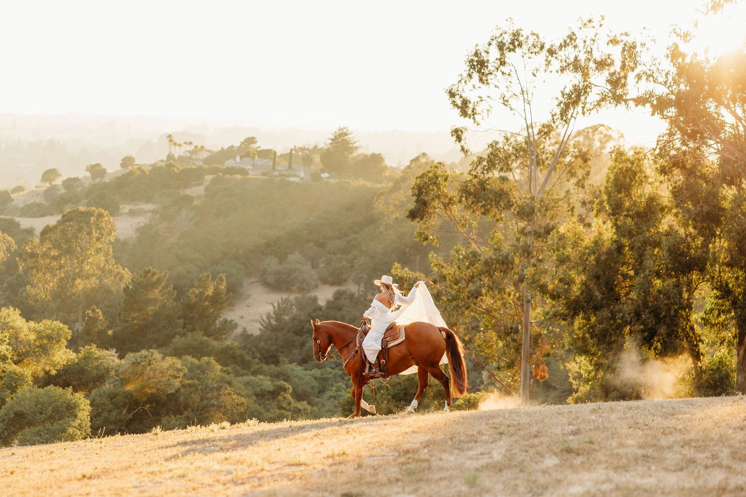 A horse rider in white creates a stunning silhouette against a golden sunset on a hilltop trail.