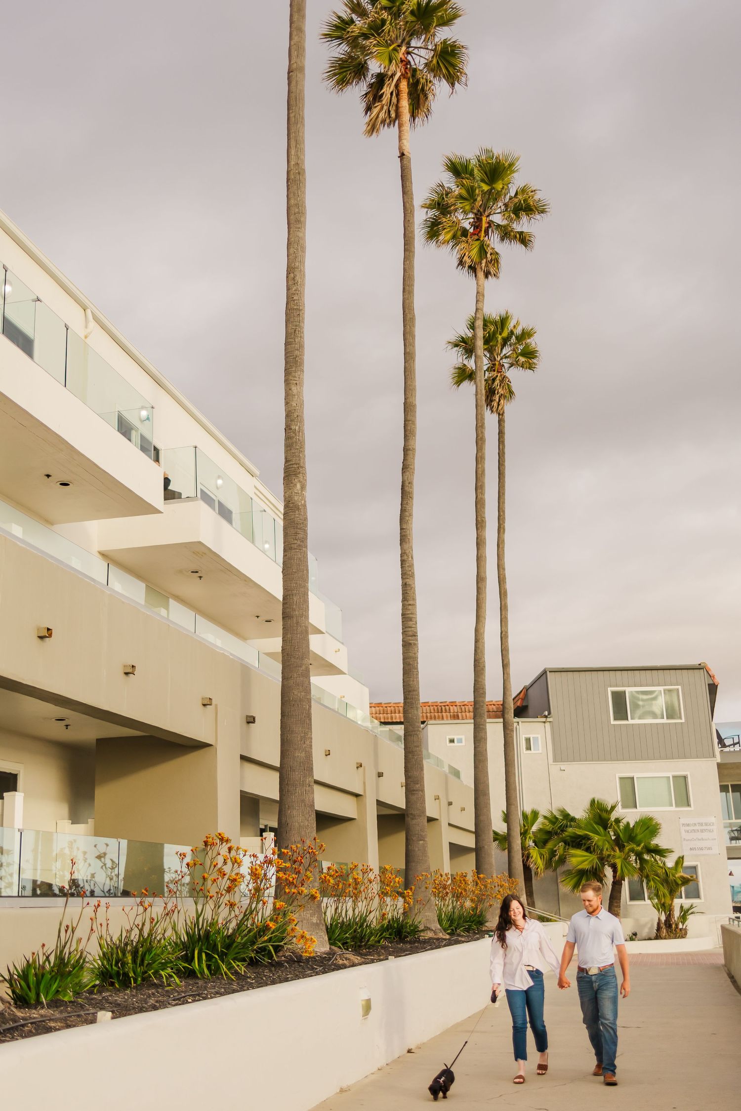Couple strolling with their dog near modern apartments with tall palm trees overhead.