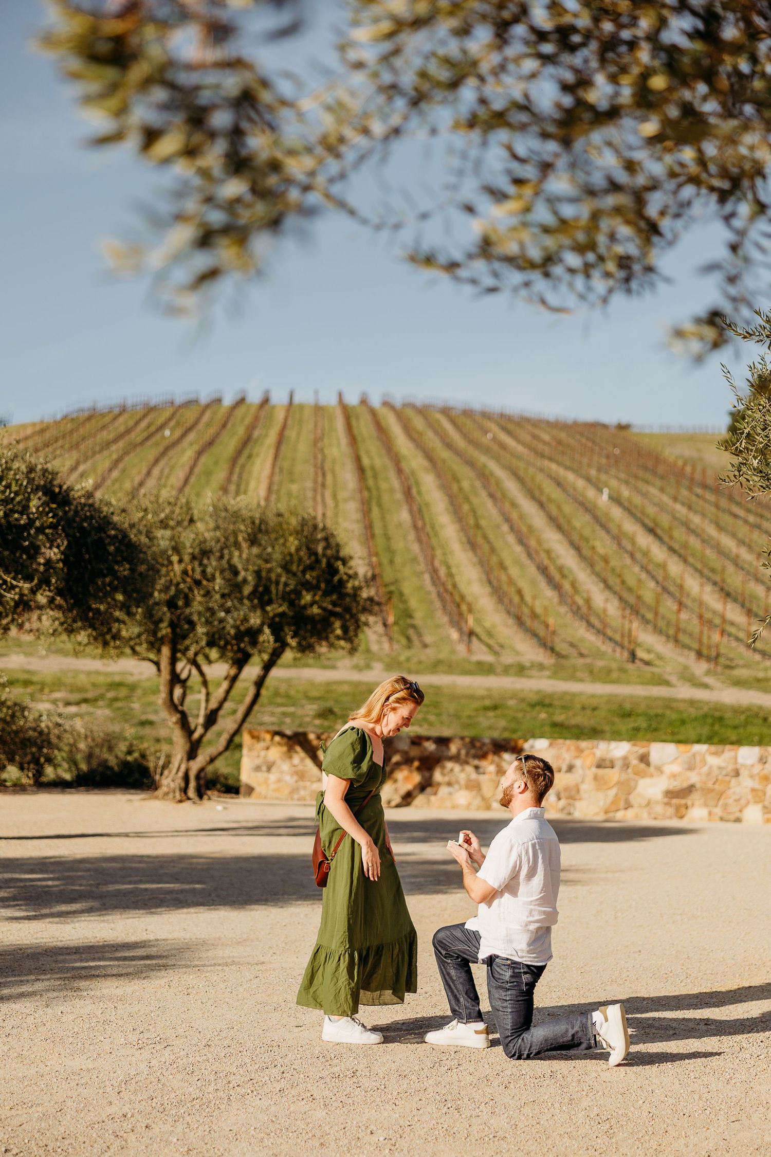A romantic proposal moment at sunset in a vineyard with rolling hills in the background.