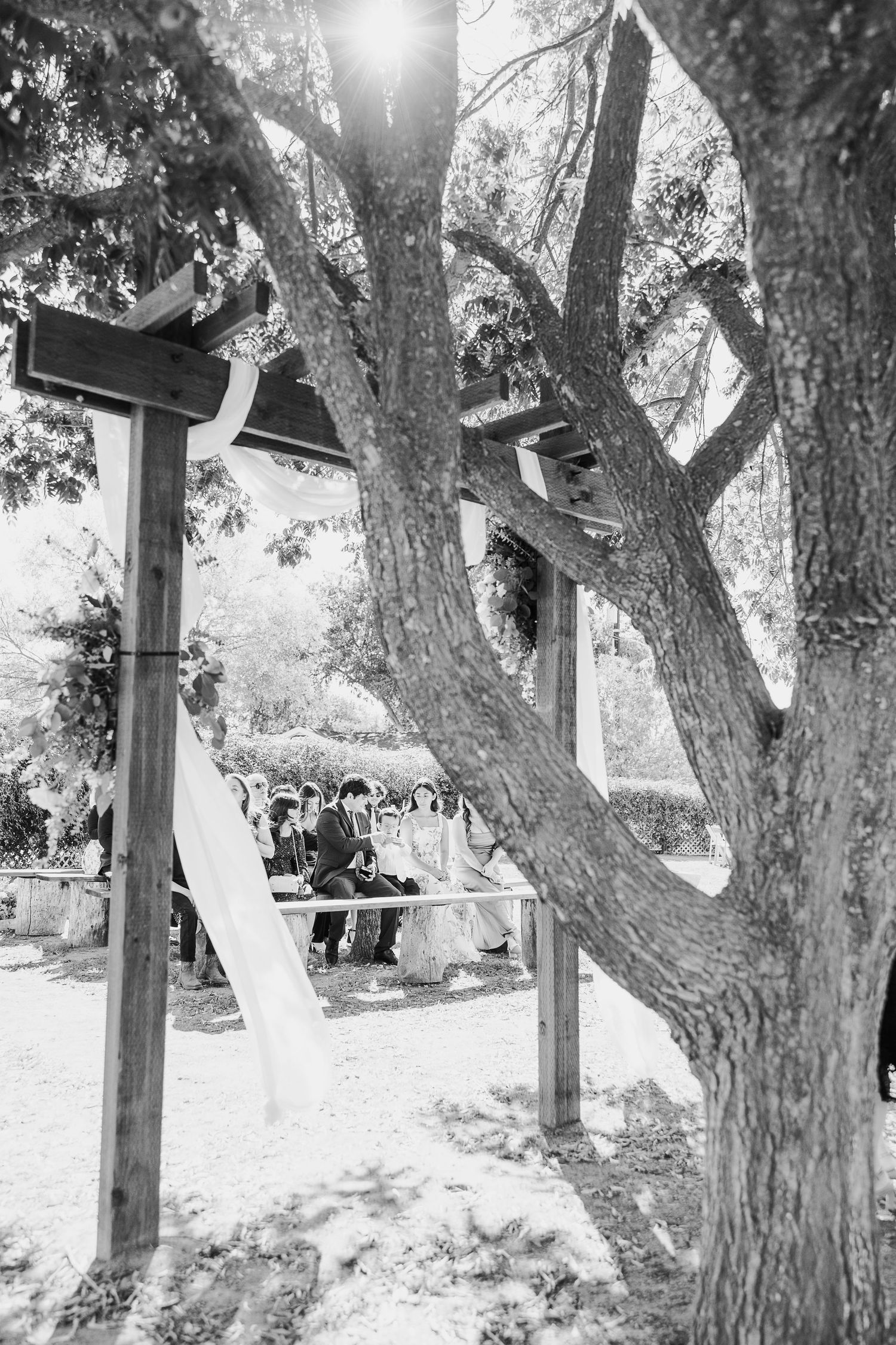 Black and white photos of trees and chairs set up for an outdoor ceremony.
