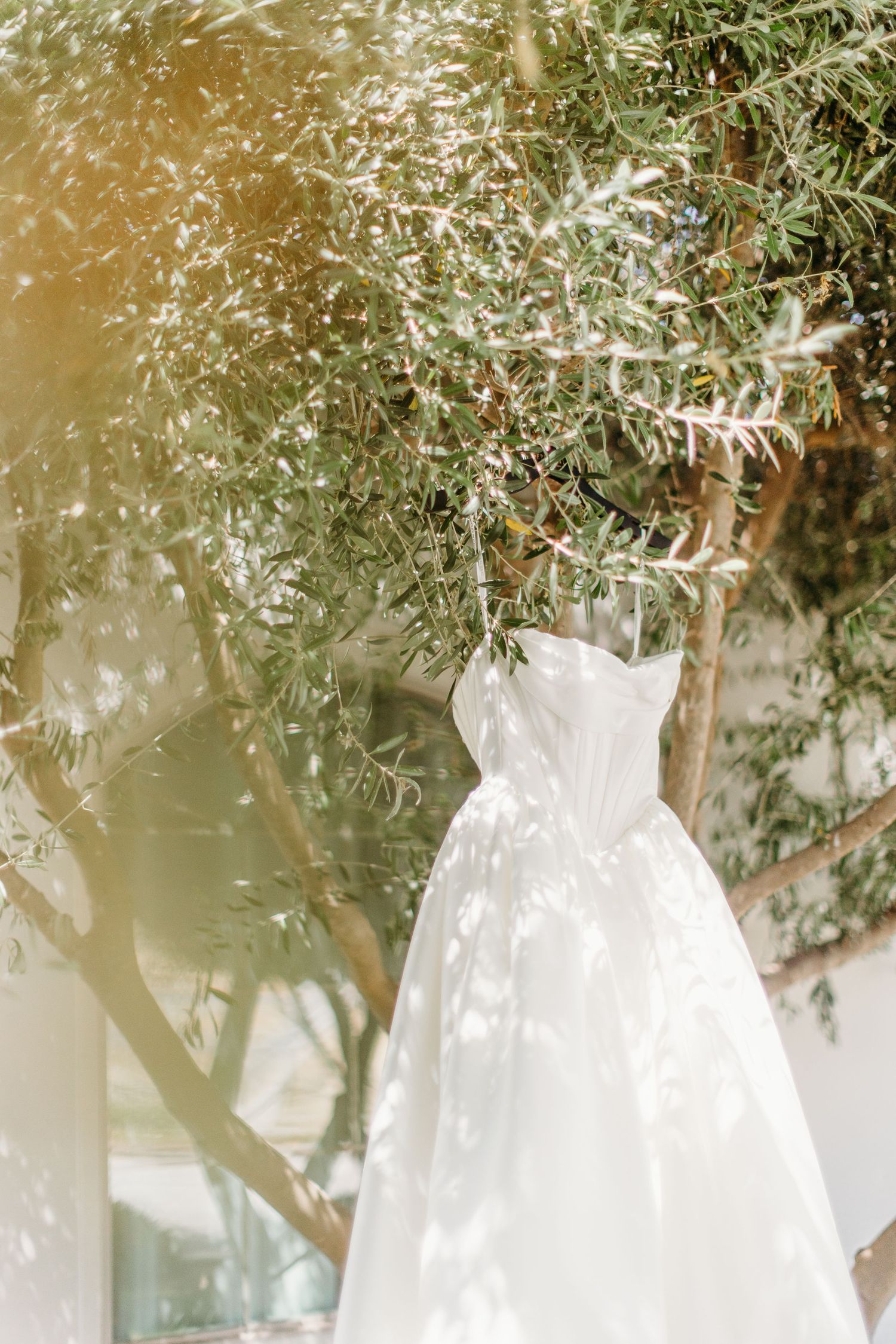 White wedding dresses hanging from hangers against a light background with olive tree branches in soft focus.