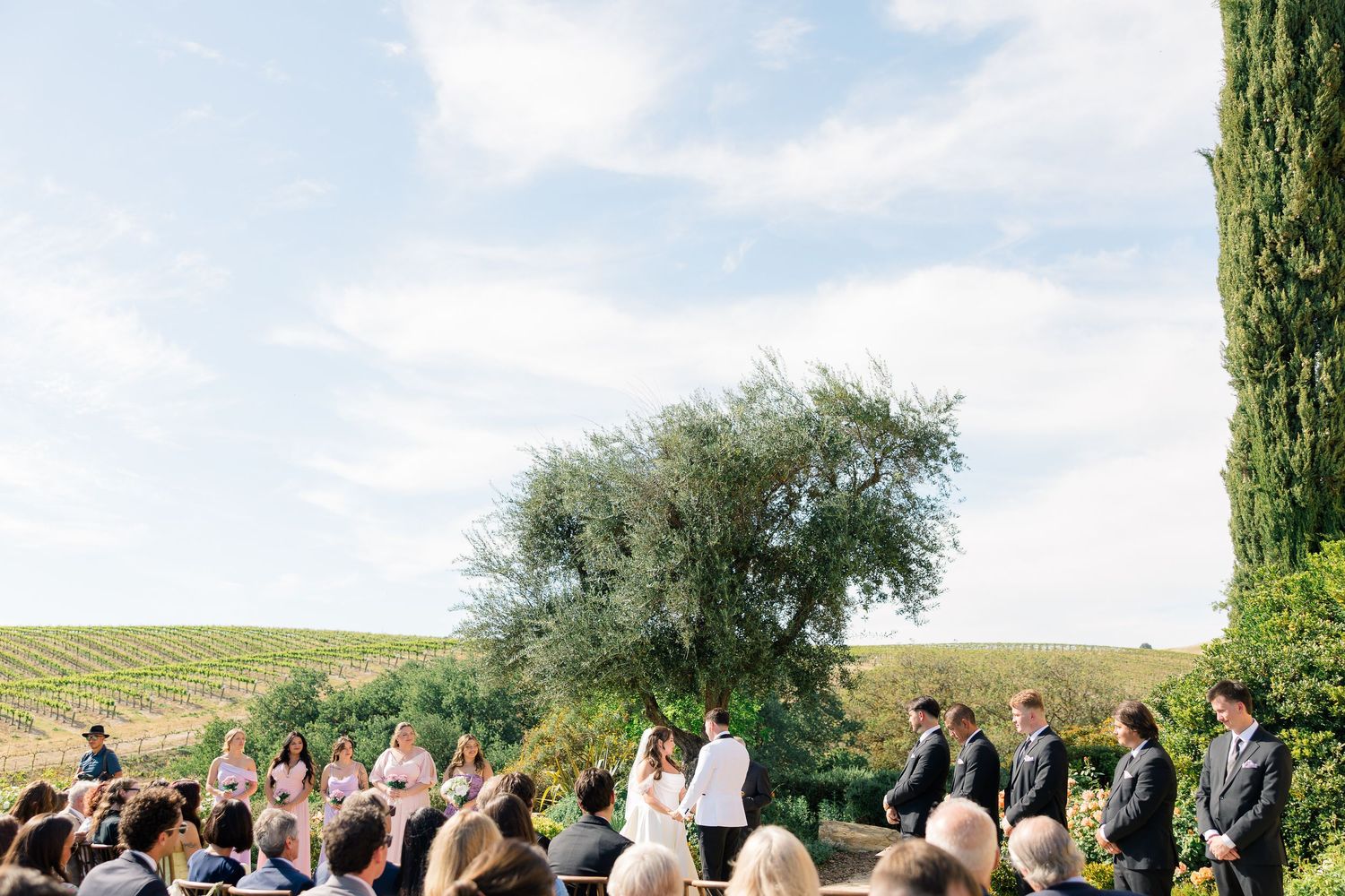 Outdoor vineyard wedding ceremony with guests seated under blue skies surrounded by lush grapevines and cypress trees.