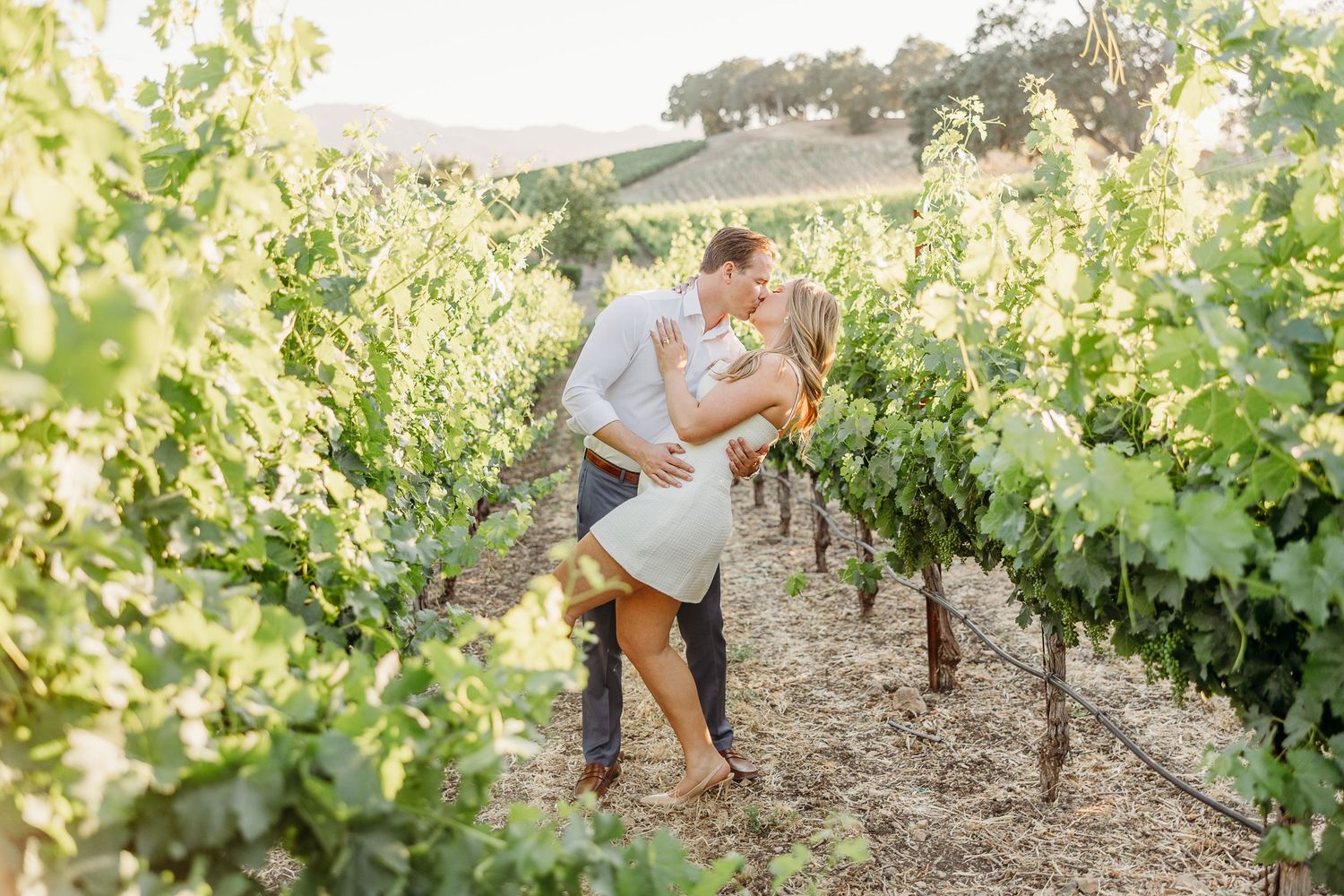 Romantic photoshoot among lush vineyard rows during sunset with soft natural lighting.