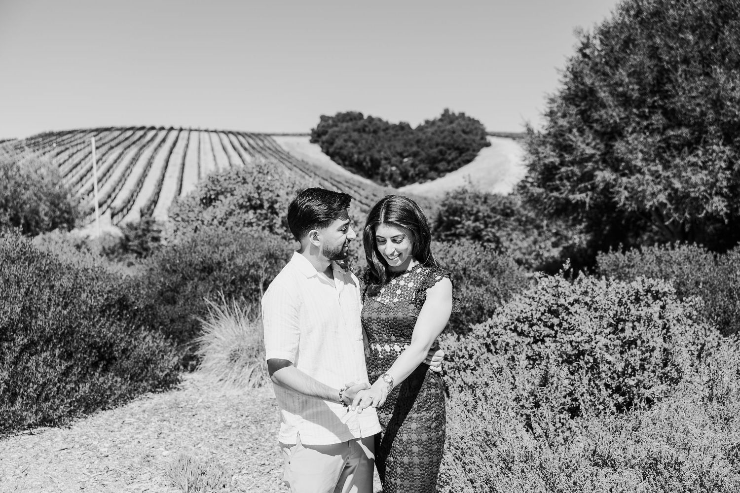 Scenic vineyard landscape of Heart Hill at Niner Winery with rolling hills and rows of grapevines.