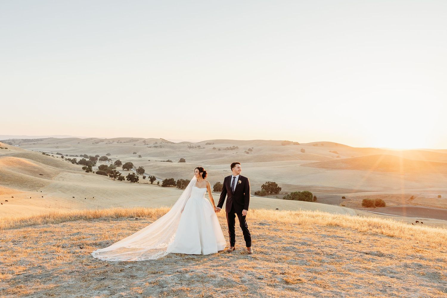 Couple in formal wedding attire walking hand in hand on a sunlit garden path surrounded by blooming spring foliage.