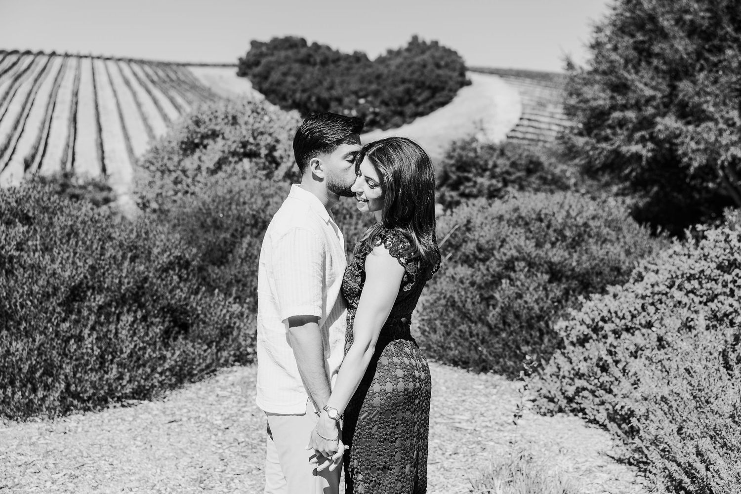 Black and white photo of a couple sharing an intimate moment among vineyard rows on a hillside.