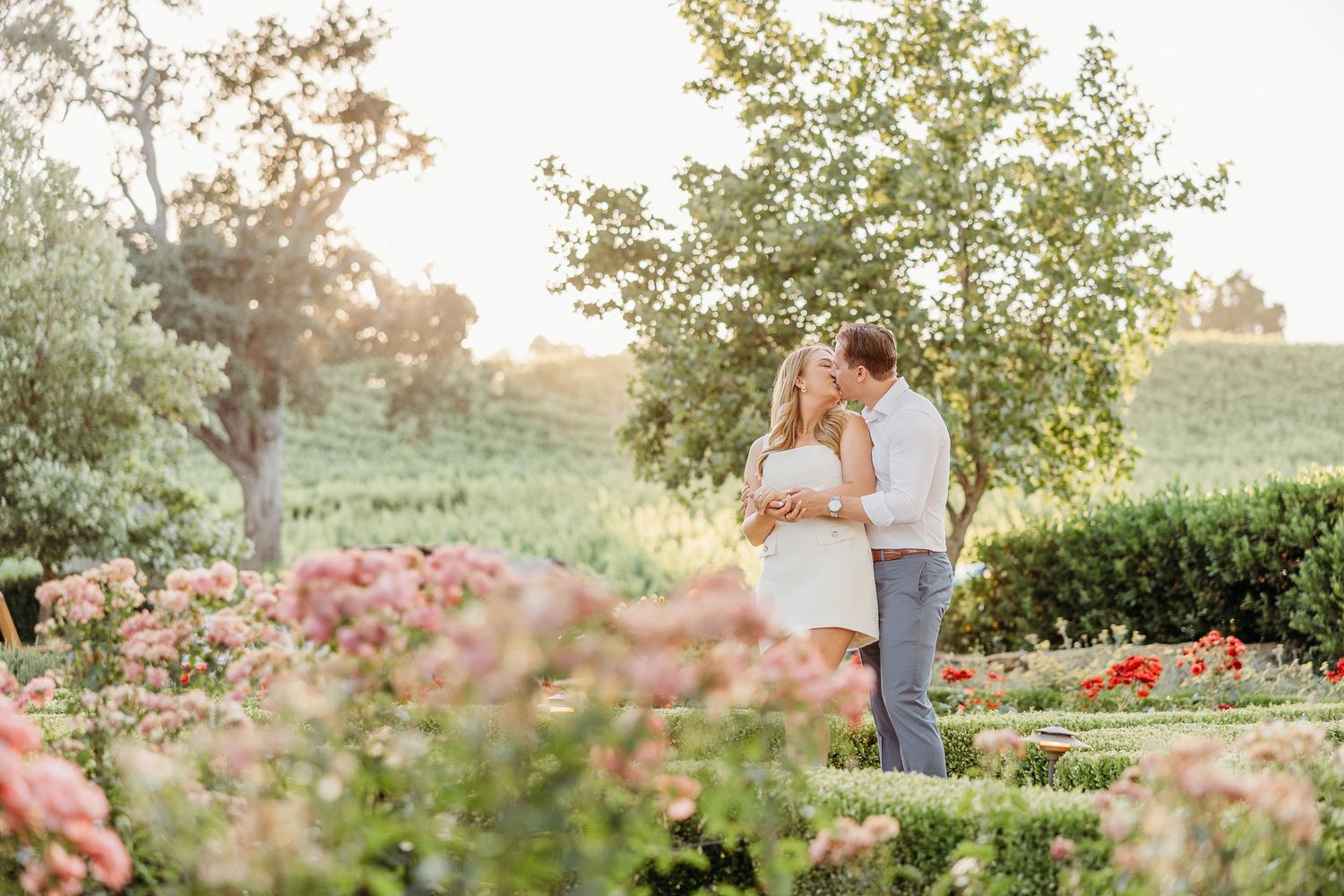 A romantic couple embraces in a sunlit garden filled with blooming pink roses and lush greenery at sunset.