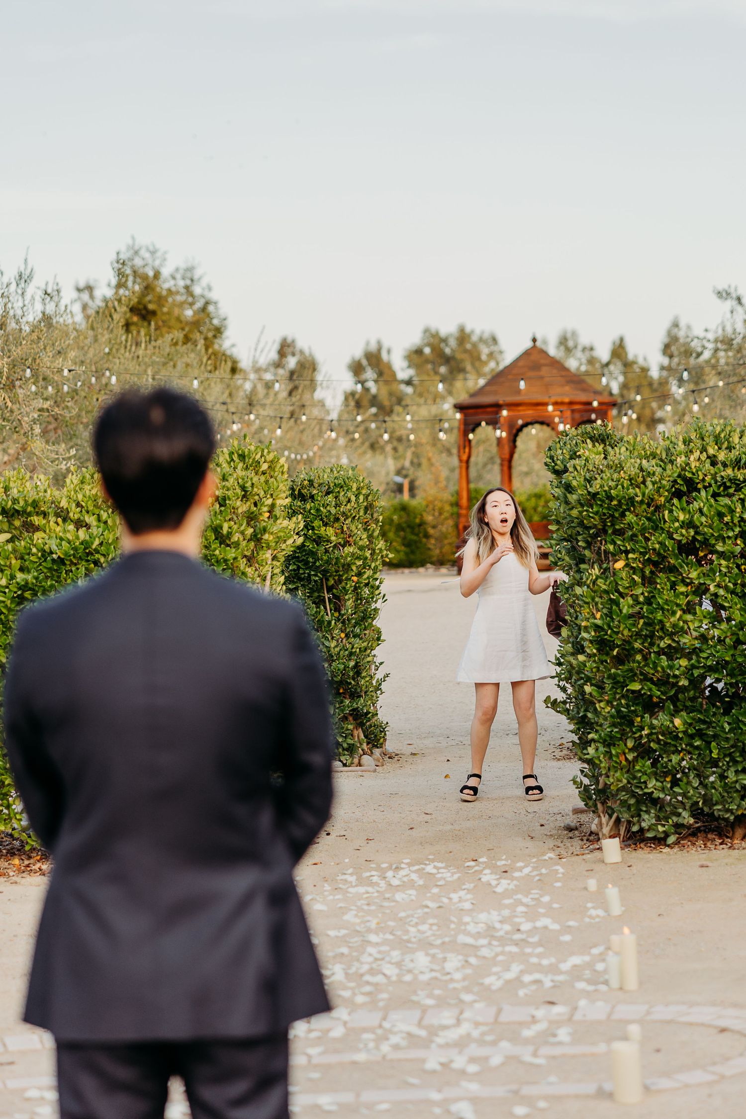Surprise proposal moment at Allegretto Vineyard Resort in Paso Robles