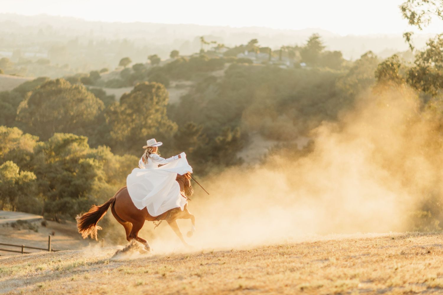 A horse and rider kick up dust while galloping across a sunlit mountain trail.