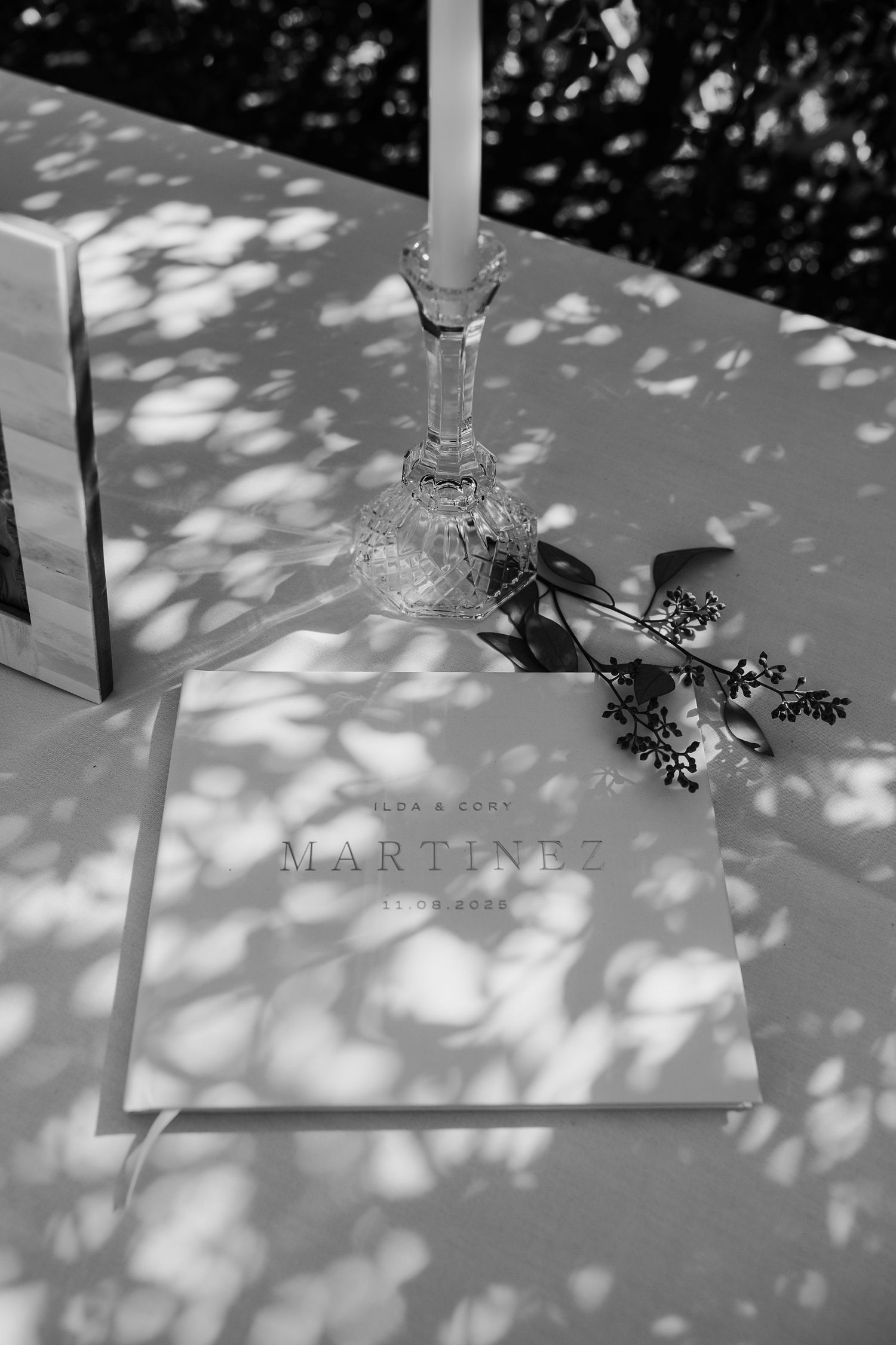 Dappled sunlight creates a pattern of shadows on a white surface with a delicate glass martini decoration.