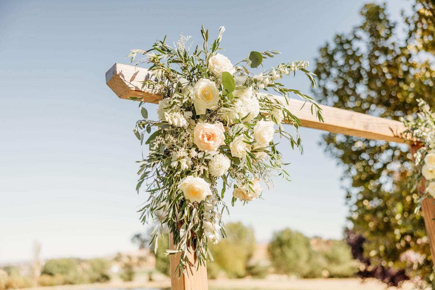 Paso Robles Photographer