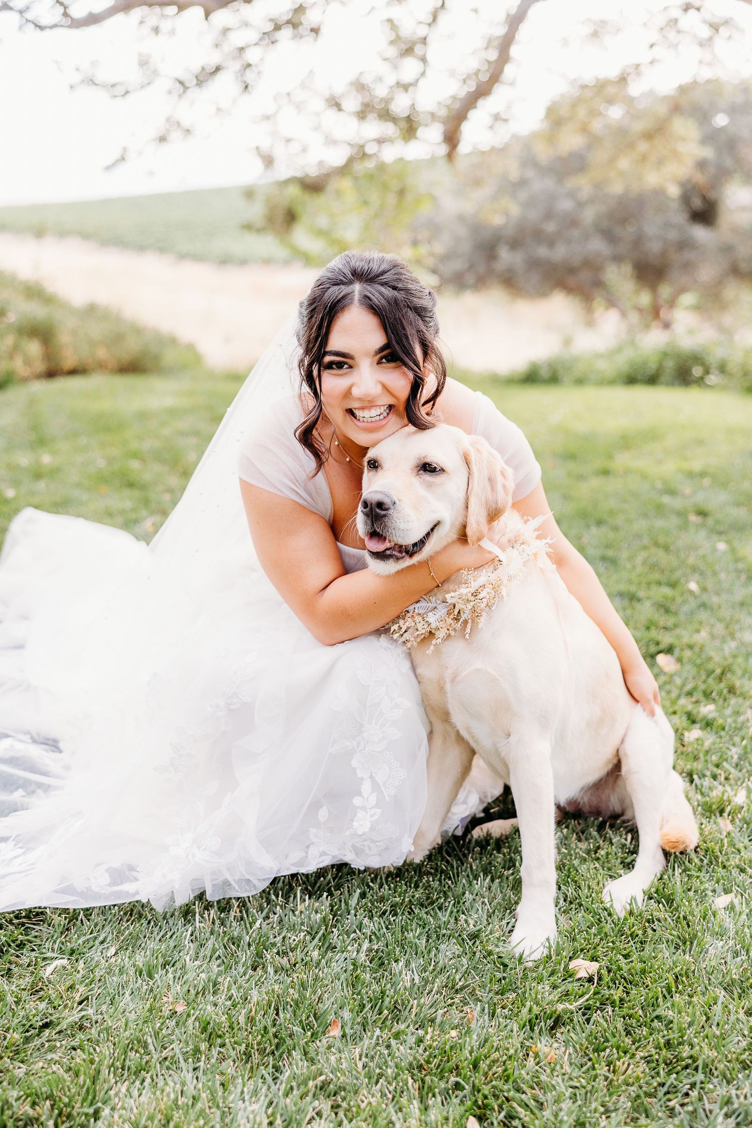 Beautiful bride in white gown hugs yellow labrador retriever on grassy hillside.