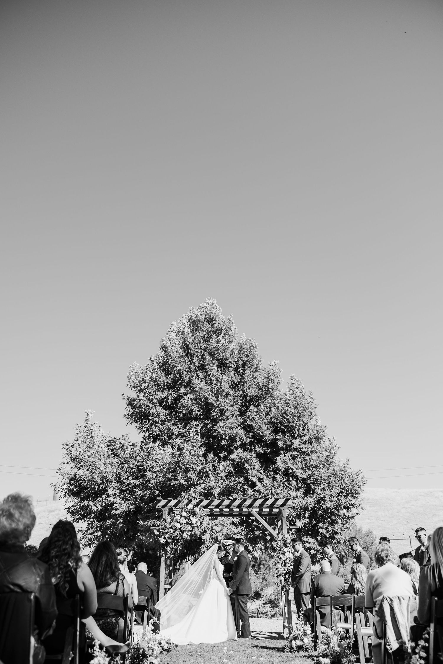A black and white outdoor wedding ceremony setup with guests gathered under trees and a pergola structure.