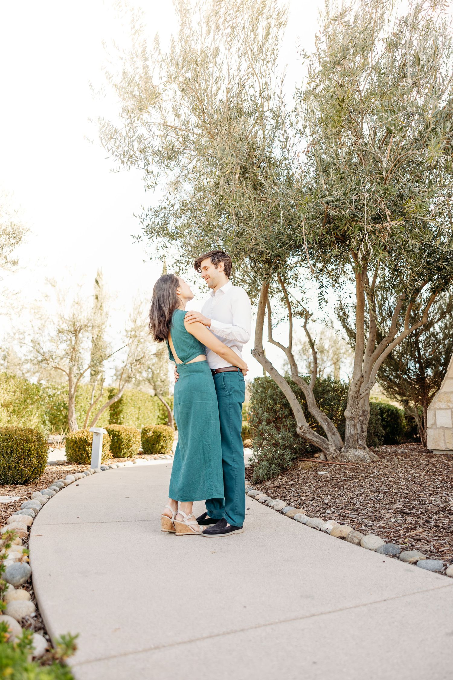 A couple embraces on a winding path surrounded by olive trees on a bright sunny afternoon.