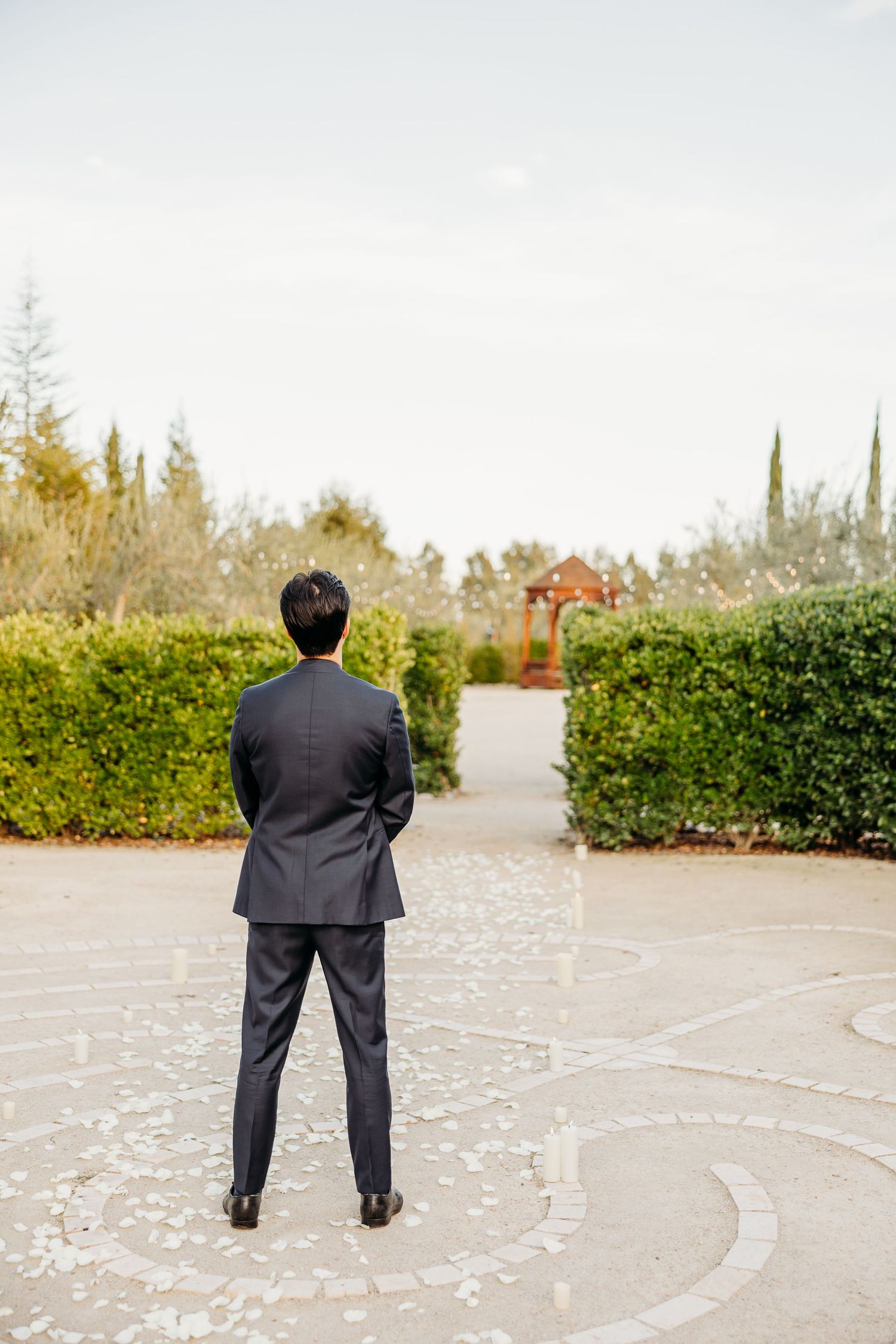 A path decorated with scattered white rose petals leads through a garden setting.
