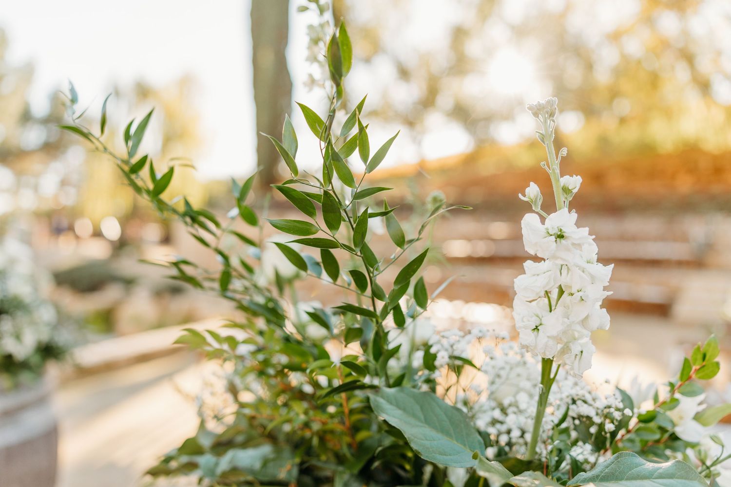 Delicate white floral arrangement with green foliage and eucalyptus leaves in golden sunlight.