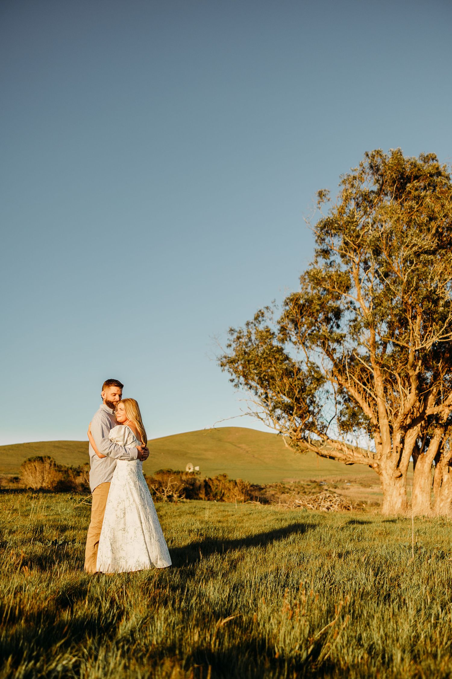 Couple embraces in a romantic golden hour photoshoot on grassy hillside with gnarled tree in background.