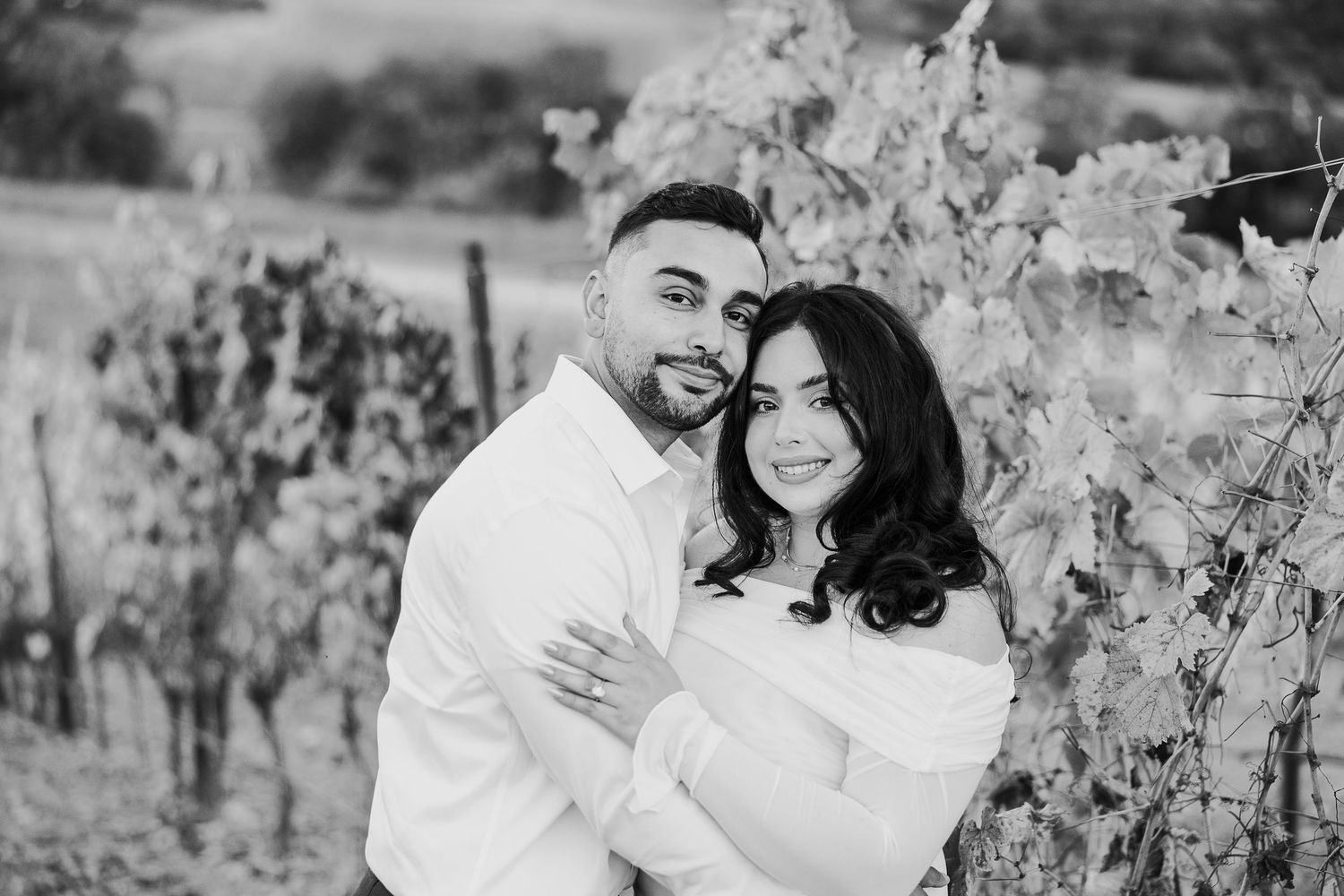 A romantic engagement photoshoot among scenic vineyard rows during golden hour.