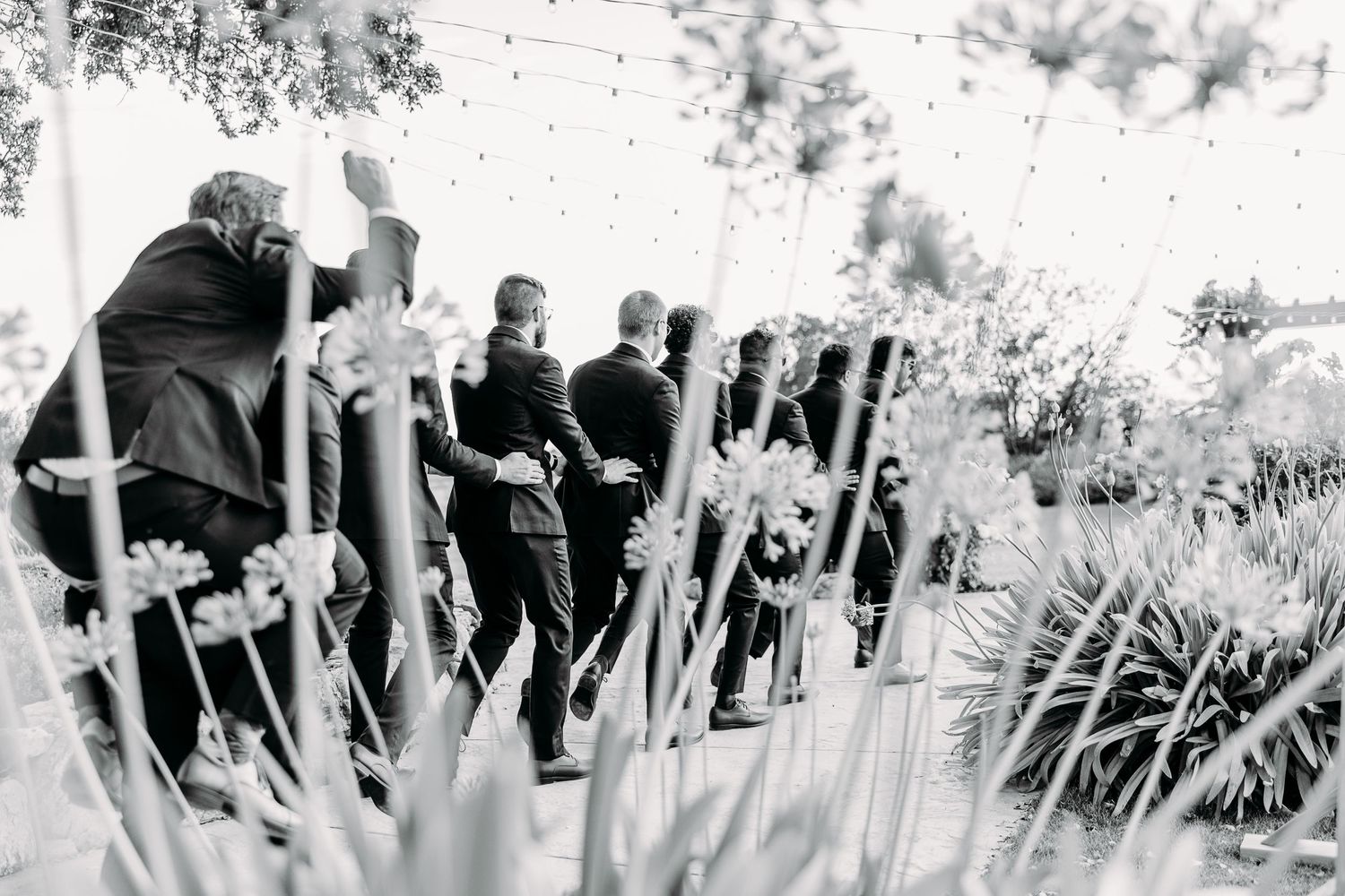 Black and white photograph of attendees standing between tall ornamental grasses at an outdoor event.