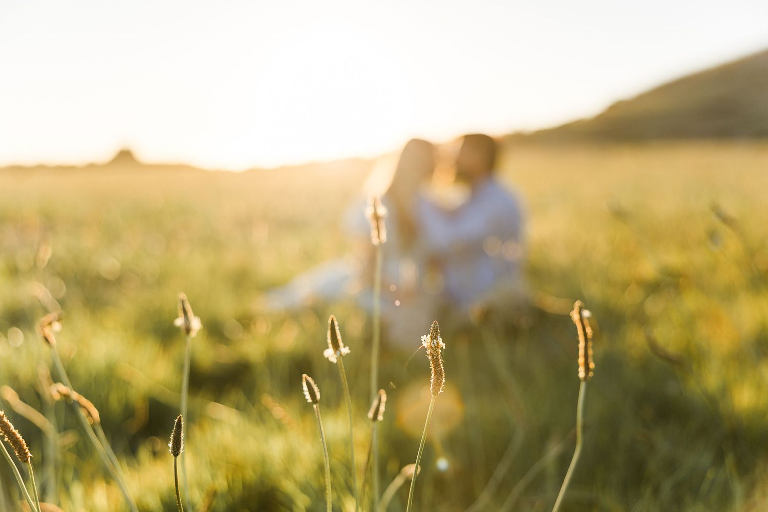 A couple sits in a golden meadow at sunset with soft bokeh effect through wild grass stalks in the foreground.