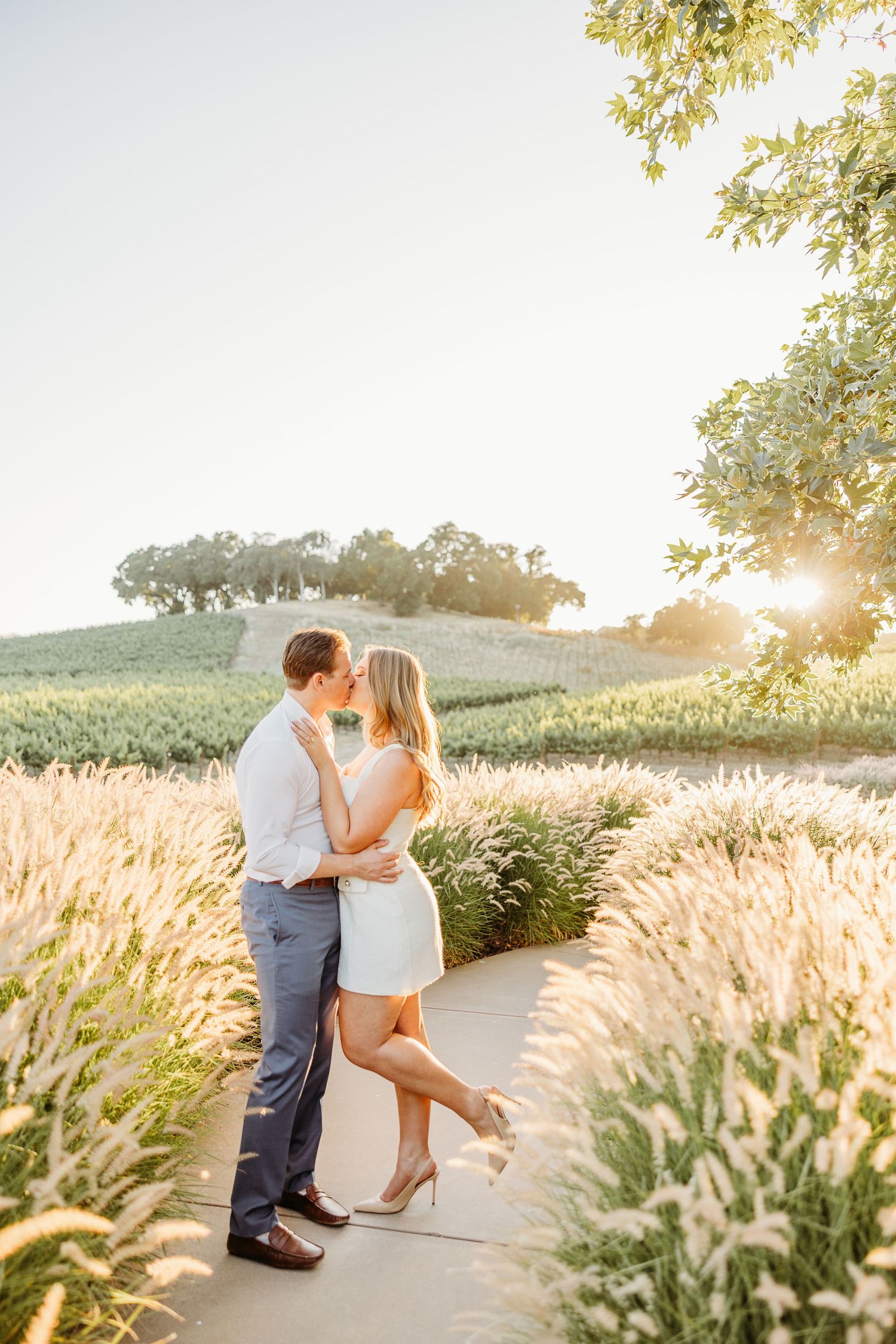 A romantic sunset photoshoot in a field of tall pampas grass with warm golden light filtering through the trees.