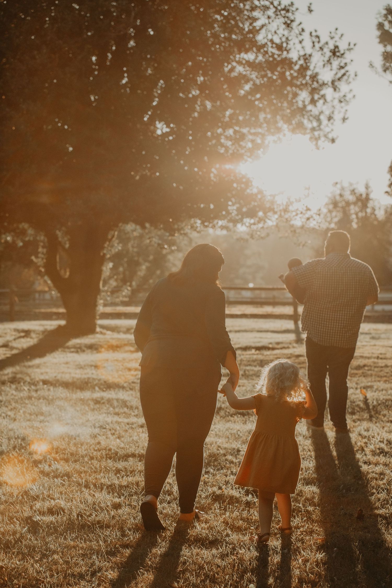 Silhouetted figures walk together in a golden sunlit field with trees casting long shadows during sunset.