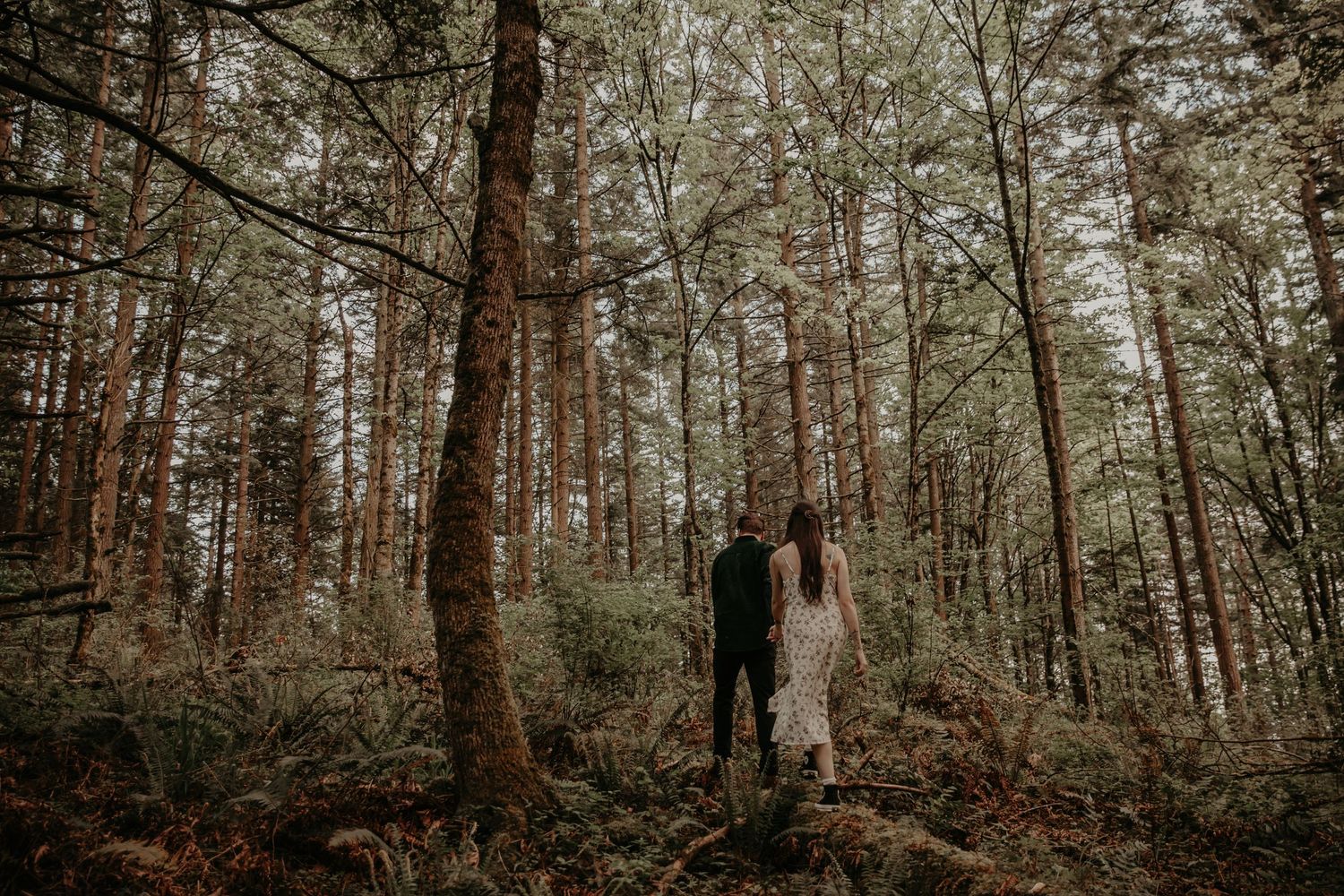 Two figures stand together in a moody evergreen forest with filtered sunlight creating an atmospheric woodland scene.