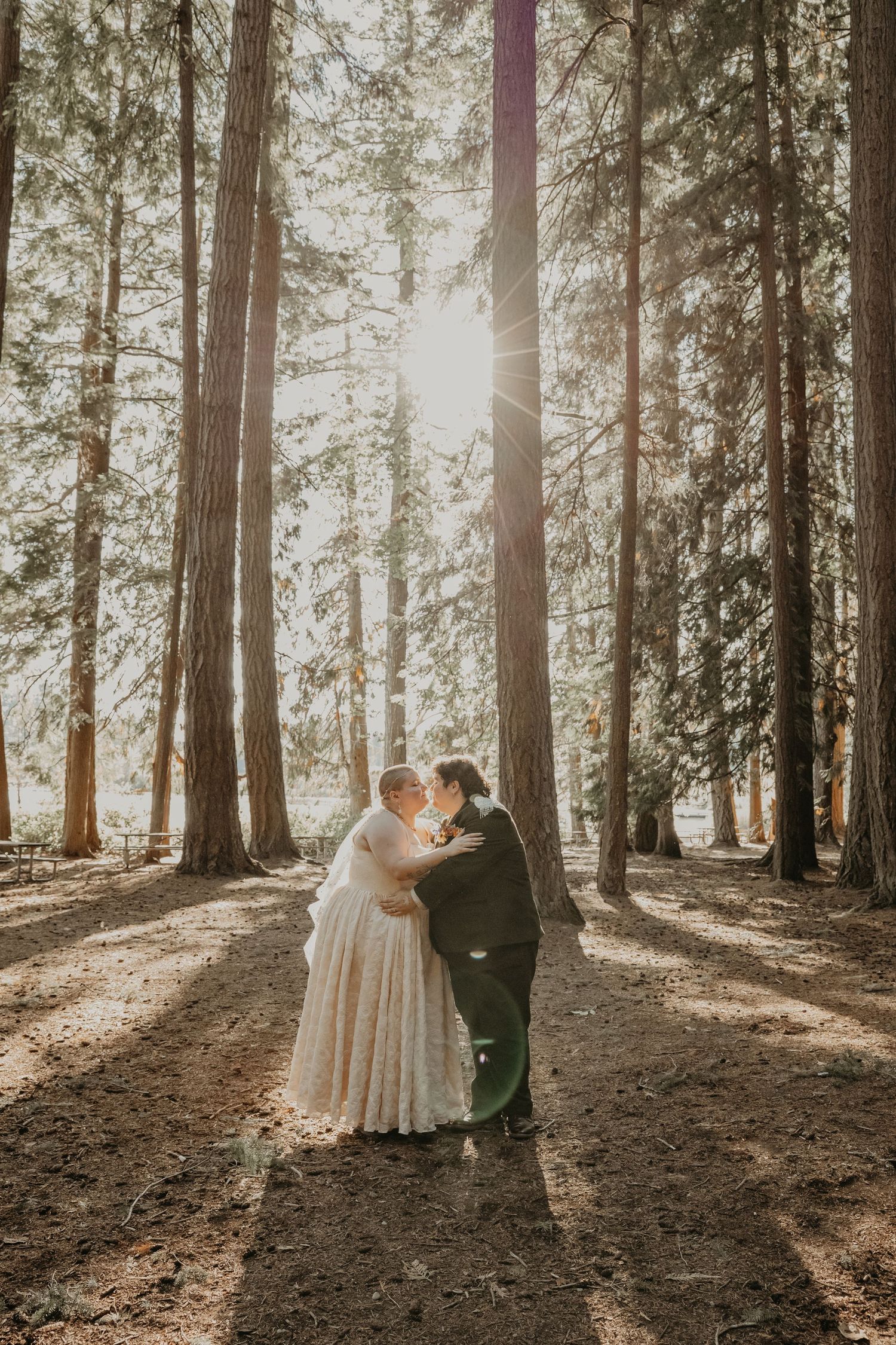 A couple shares an intimate moment in a sunlit forest with tall trees creating a romantic woodland backdrop.