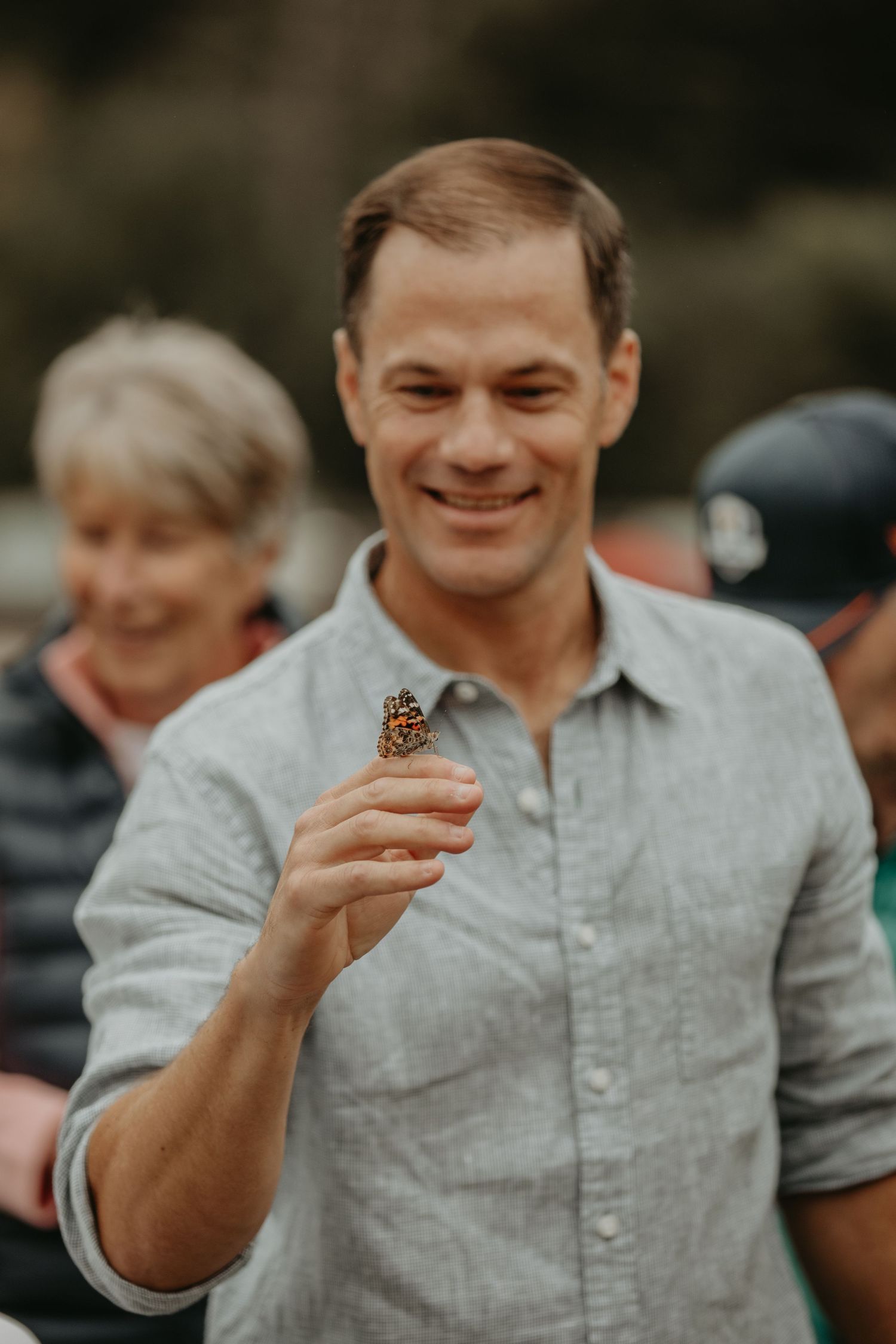 A series of photos showing someone holding and examining a small monarch butterfly in their hands.