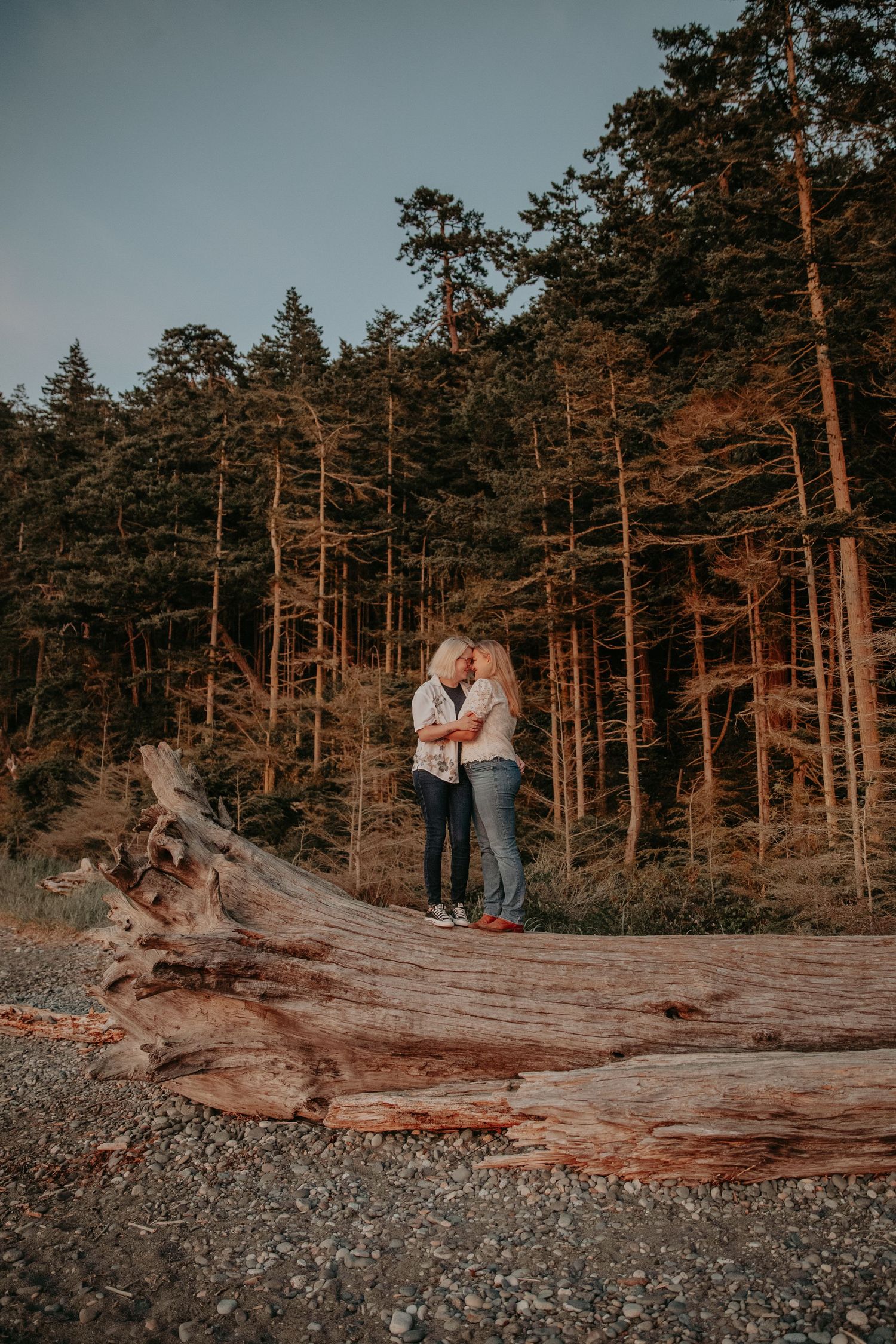 Rustic forest engagement photos at sunset featuring a couple posing on a large driftwood log among tall pine trees.