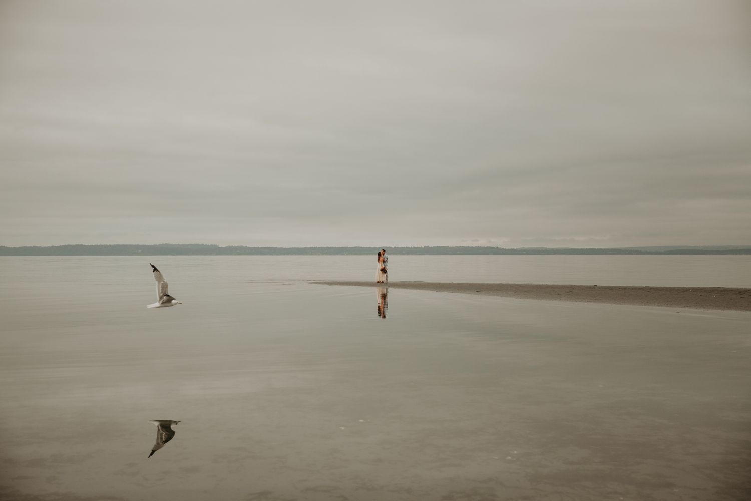 A series of seagulls soar gracefully over a misty beach at sunset creating a peaceful coastal scene.