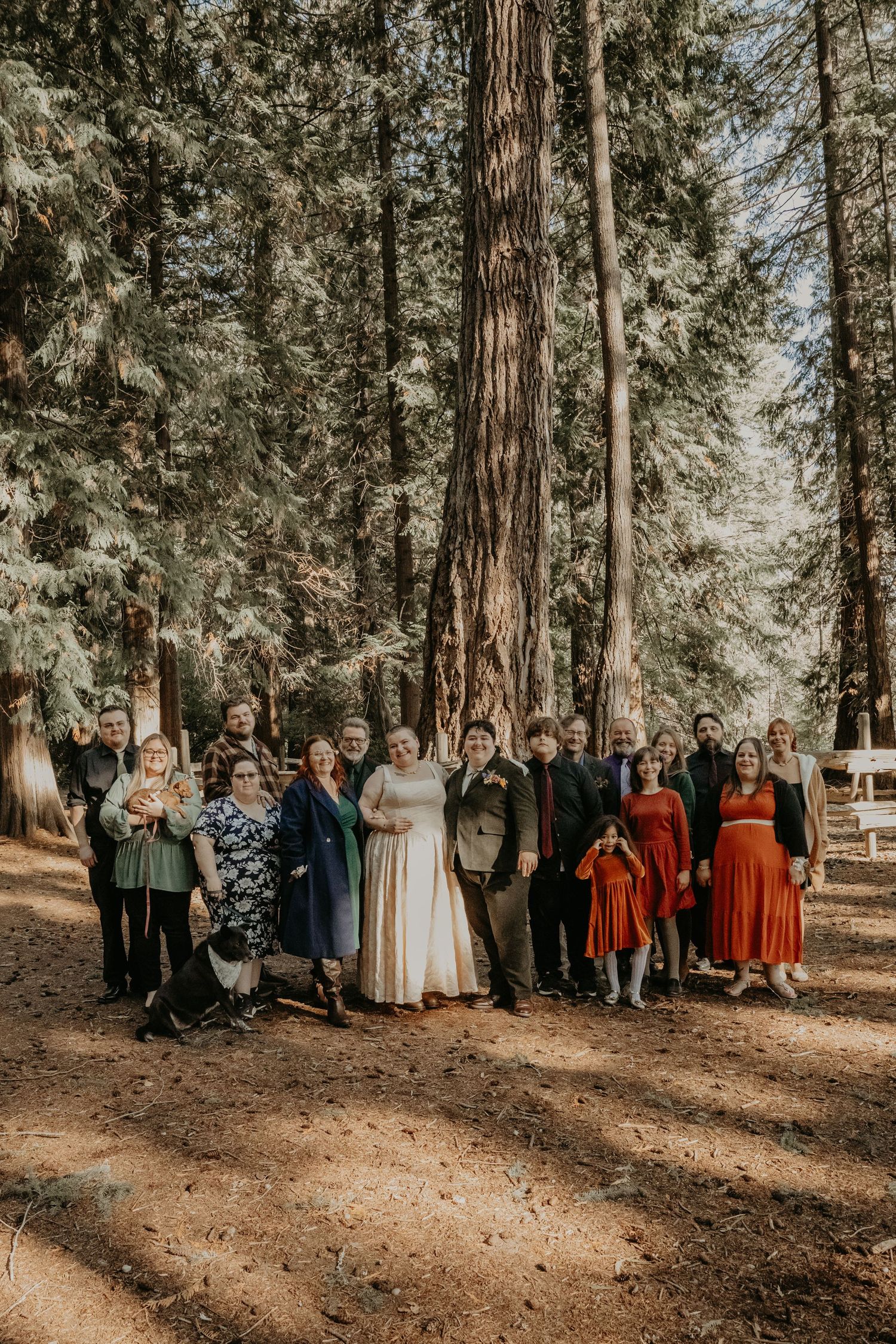 A large group of wedding guests gather together for a photo beneath tall redwood trees in a forest setting.
