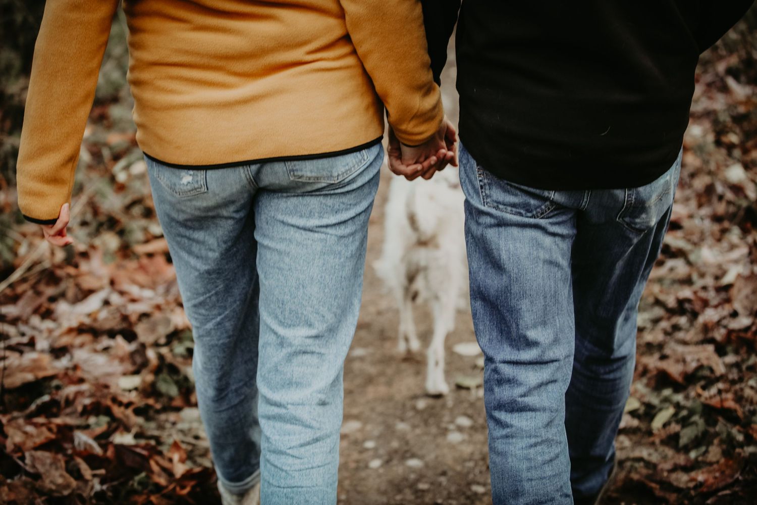 Two people in jeans walk along an autumn path with their dog visible in the background.