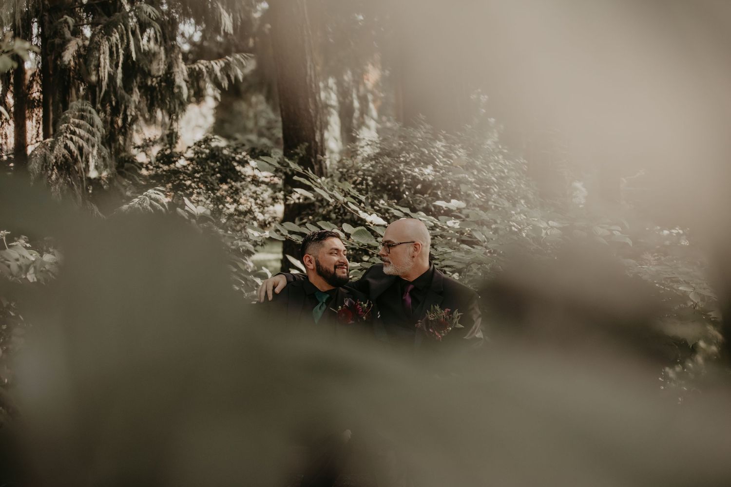 A moody forest landscape with fog rolling through tall evergreen trees creating a mystical atmosphere.