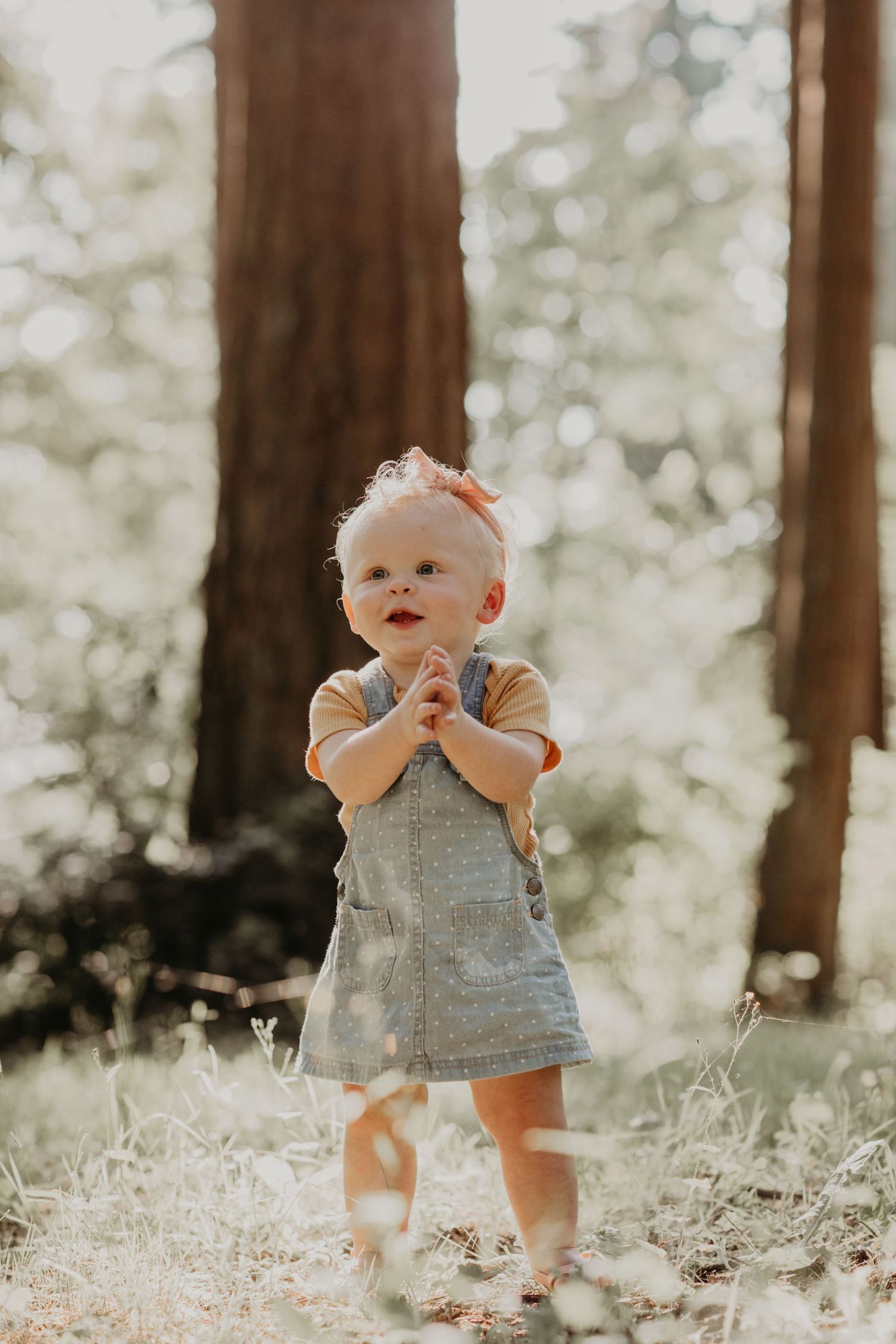A toddler in denim overalls and bow stands in a sunlit forest with trees in the background.