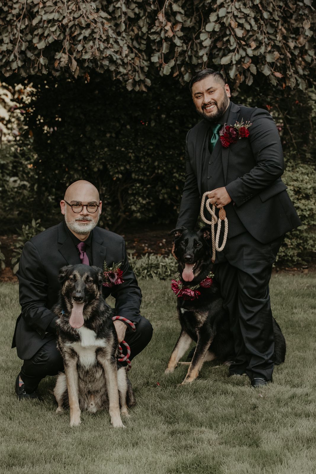 A series of photos showing a person in black clothing interacting with a husky dog on green grass outdoors.