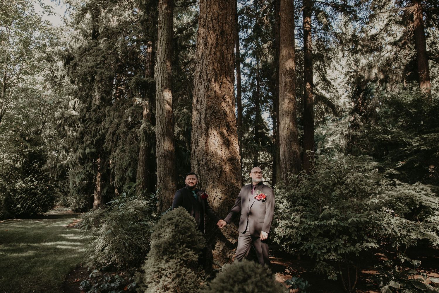 Tall evergreen trees create a natural forest backdrop in moody lighting.