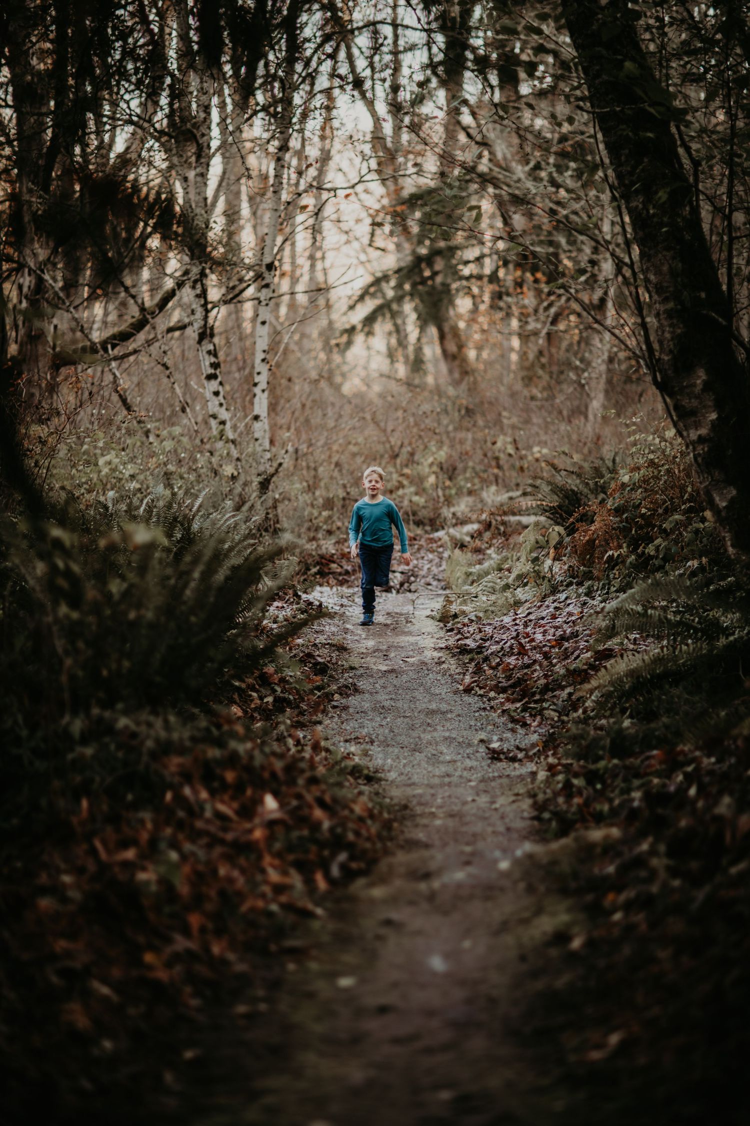 A person in blue walks along a misty forest trail surrounded by trees and ferns on an overcast day.
