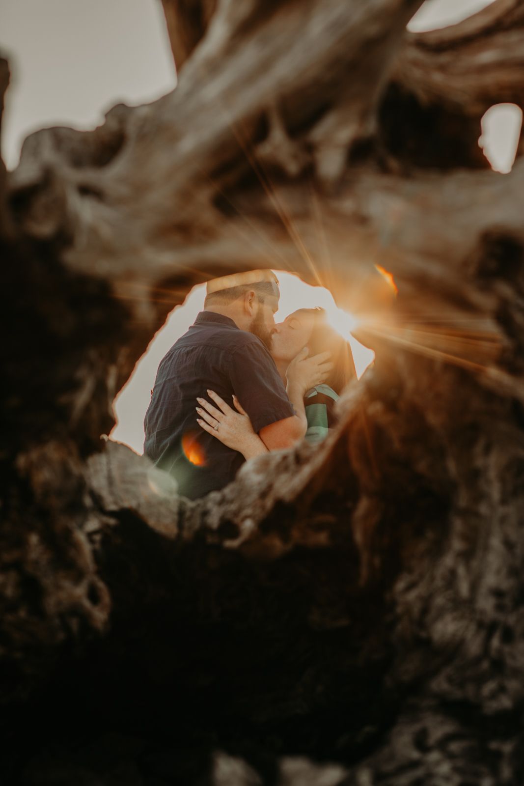 Silhouetted figures embrace during golden hour with dramatic sunlight streaming through trees.