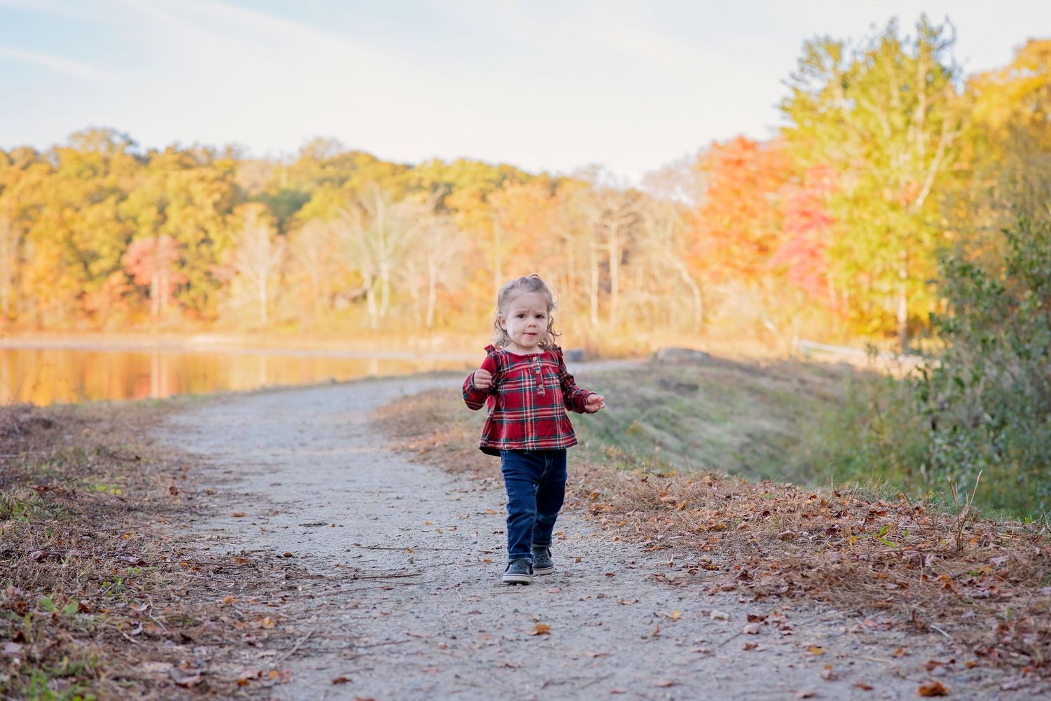 A winding dirt path through colorful autumn trees and fallen leaves on a sunny afternoon.